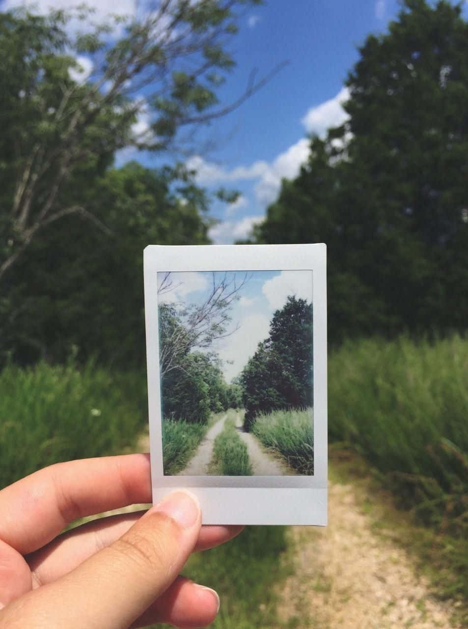 Aesthetic Polaroid 桌布 壁紙 — 一隻手拿著一張拍立得照片，照片顯示一條陽光明媚的泥土小徑蜿蜒穿過高草和樹木，藍天白雲。