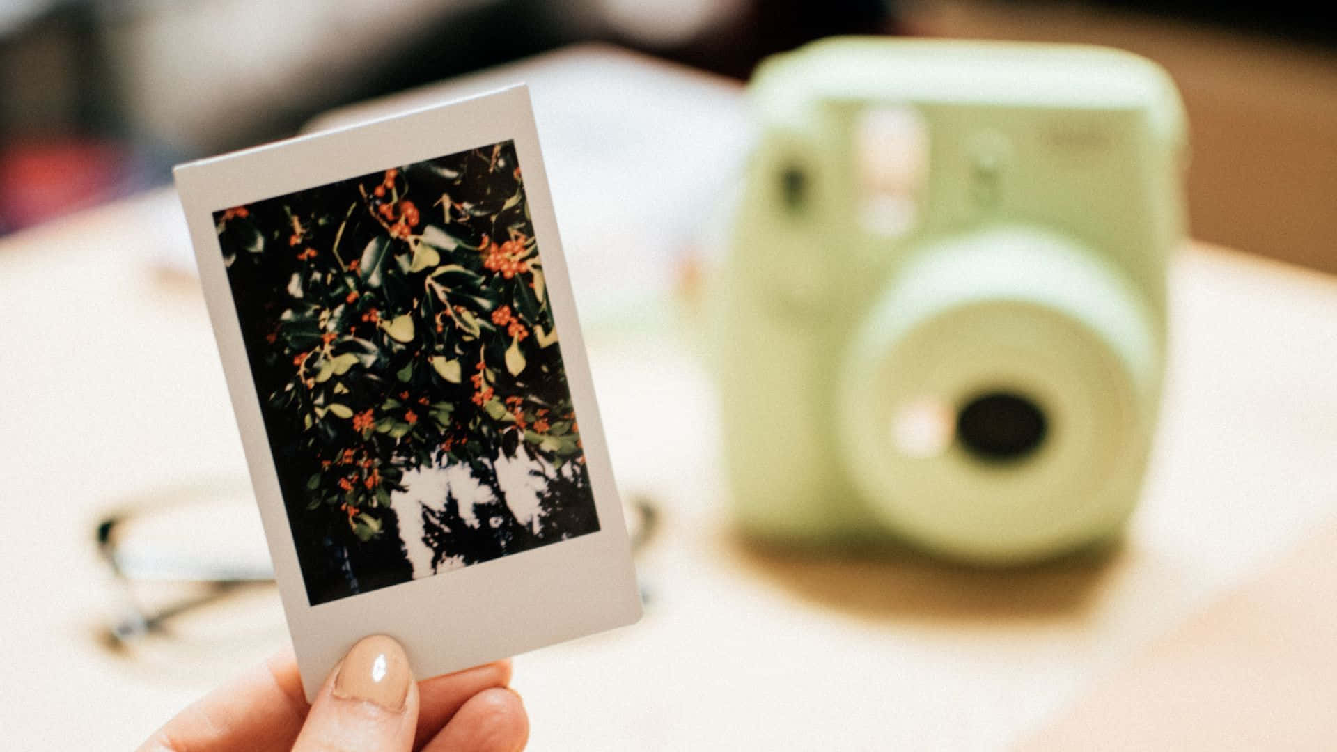 Polaroid Camera 桌布 壁紙 — 一隻手拿著一張橙色花朵的拍立得照片，背景是深綠色葉子，薄荷綠即時相機模糊地出現在背景中。