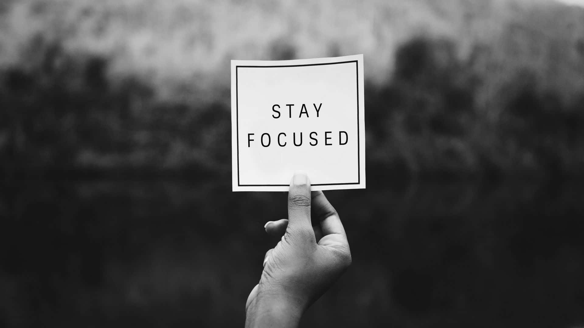 焦點 桌布 壁紙 — 一隻手拿著一張白色卡片，上面有粗體文字 'STAY FOCUSED'，背景是模糊的黑白自然景色。