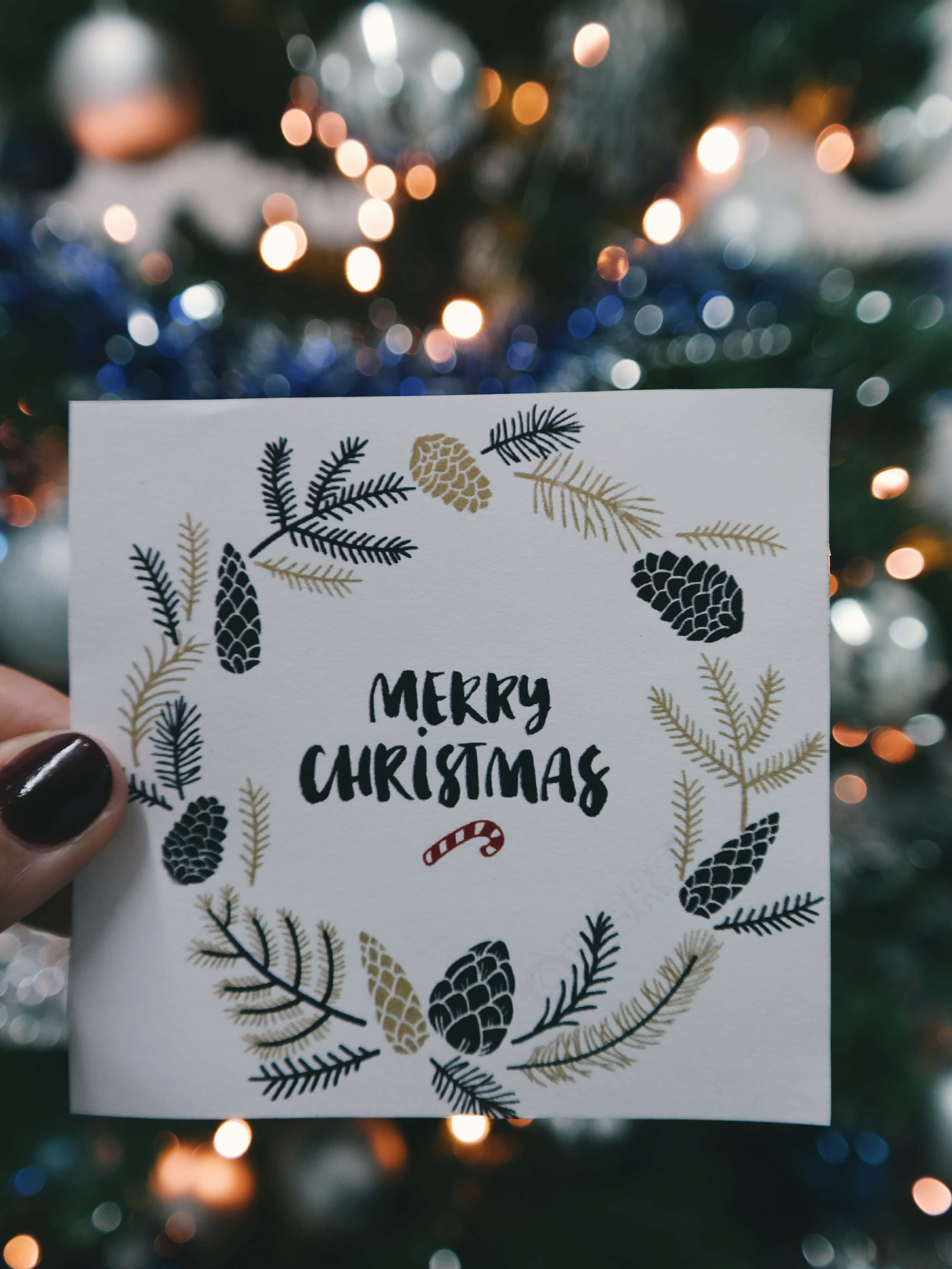 Christmas Card 桌布 壁紙 — 一隻手拿著一張節日聖誕卡，上面有松樹枝和松果，背景是模糊的聖誕樹和閃爍的燈光。