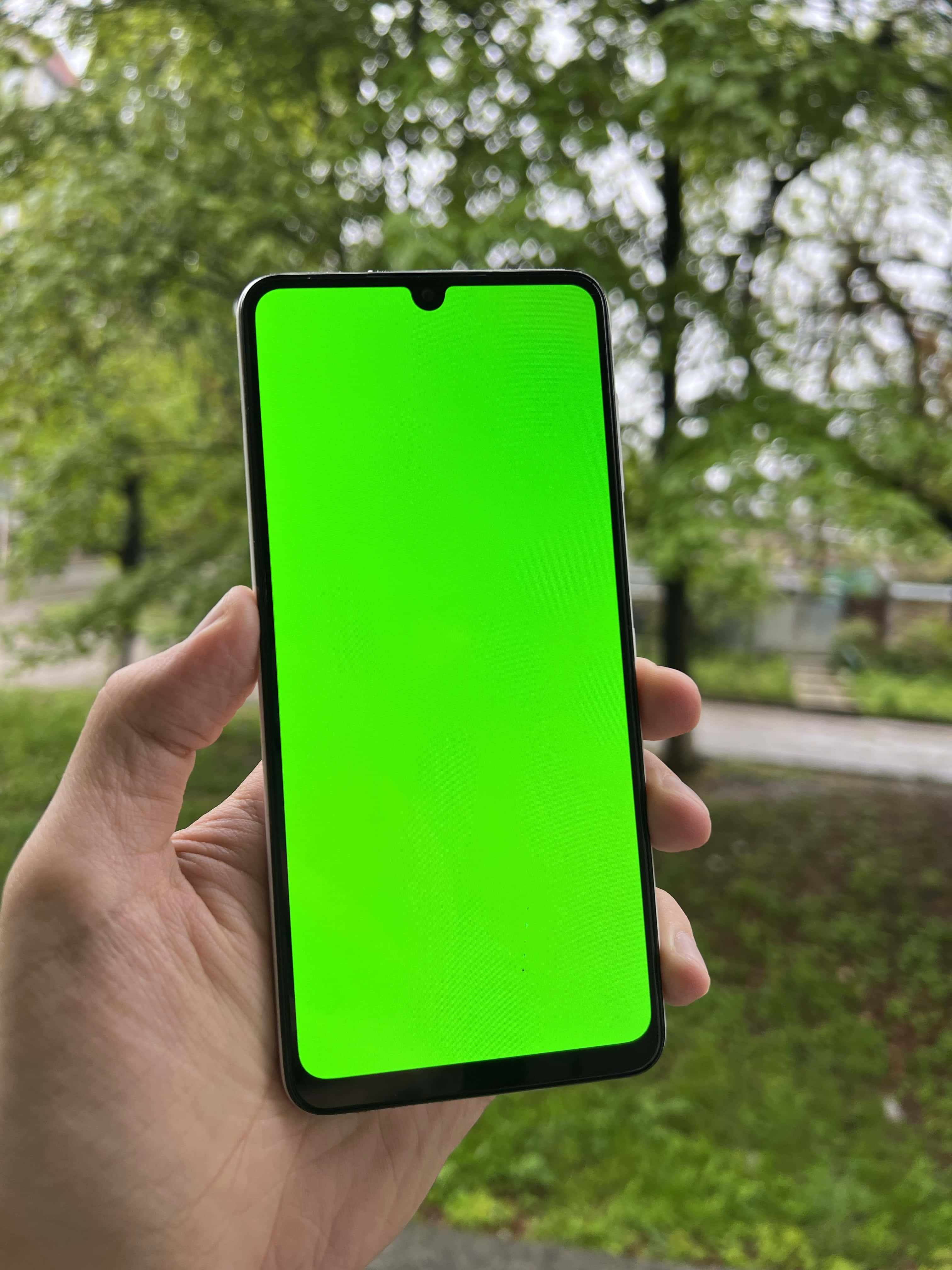 Smartphone 桌布 壁紙 — 一隻手拿著一支智慧型手機，螢幕呈現亮綠色，背景是模糊的戶外樹木和草地。
