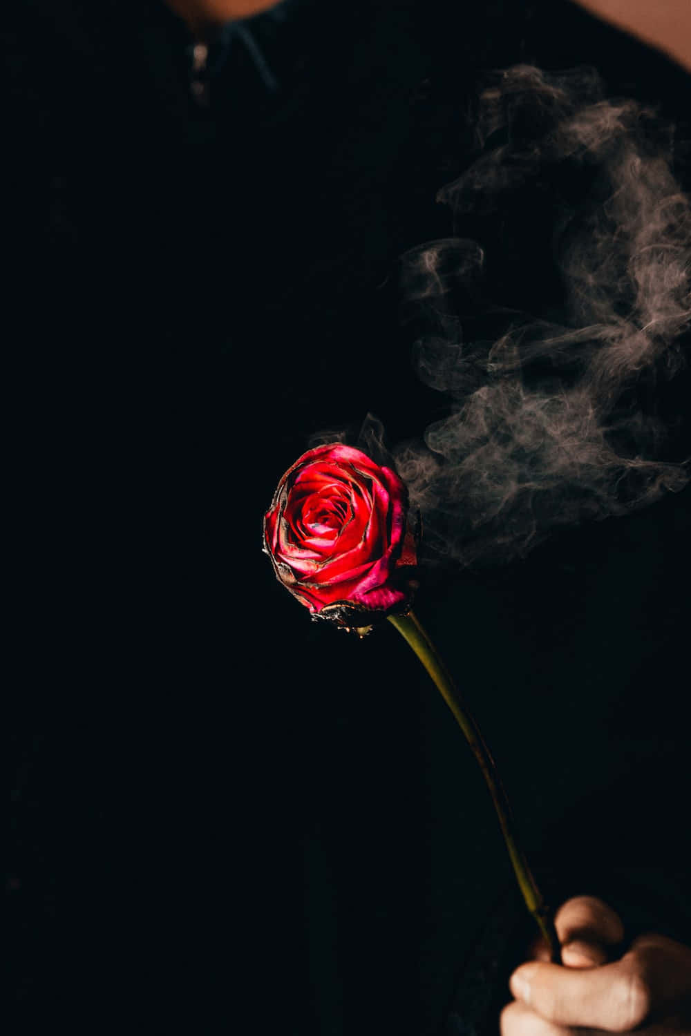 花 桌布 壁紙 — 一隻手拿著一朵冒煙的紅玫瑰，背景為黑色，縷縷輕煙向上繚繞。