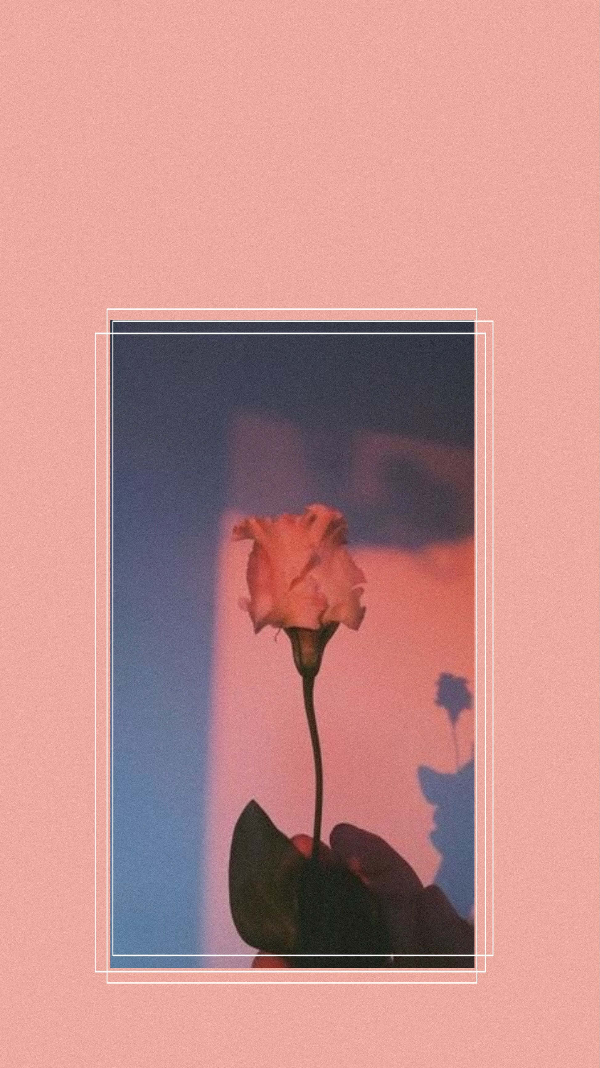 Pink Rose 桌布 壁紙 — 一隻手拿著一朵凋謝的粉紅玫瑰，背景是夢幻的藍粉漸變色，帶有柔和的幾何框架。