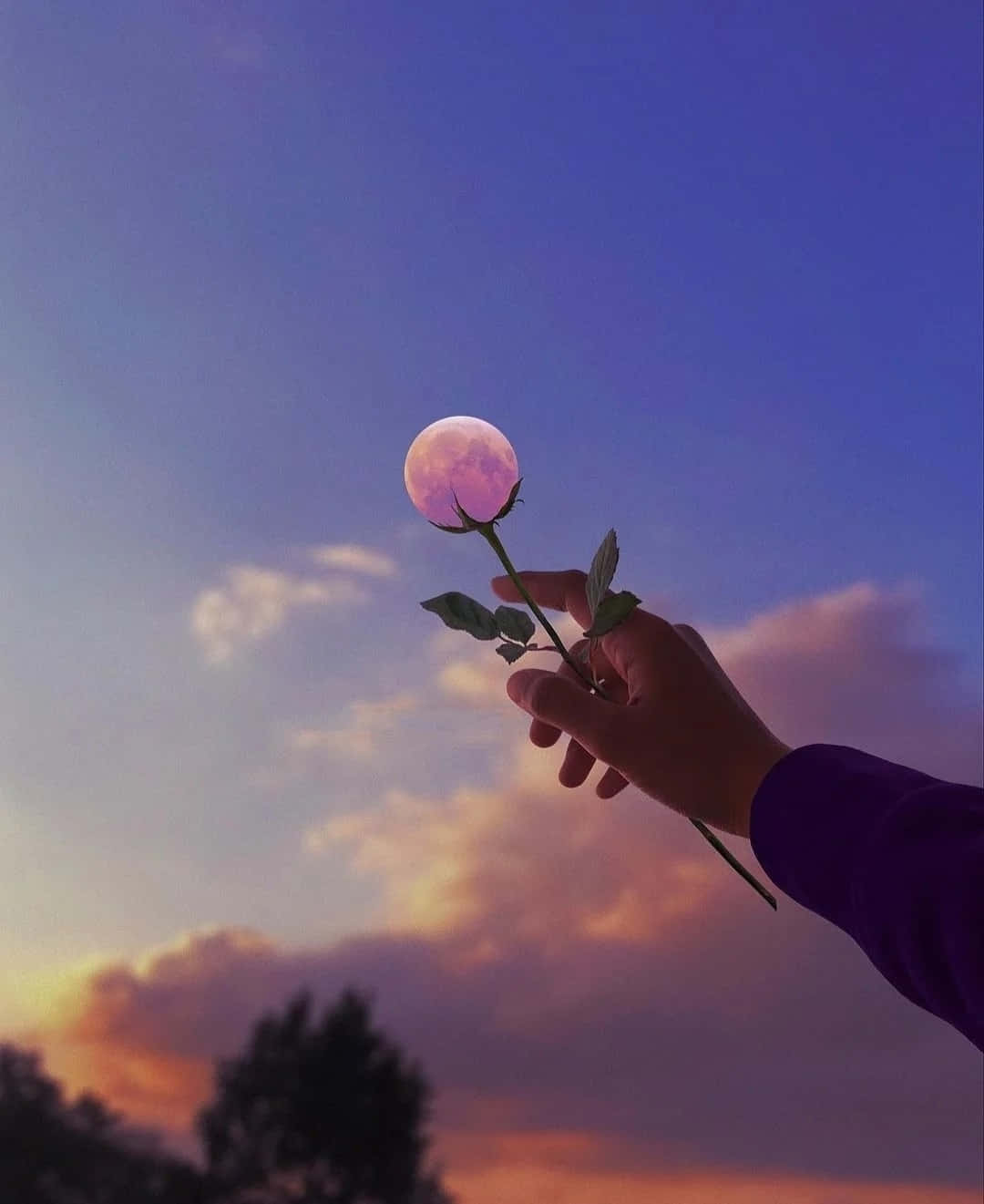 Moon Aesthetic 桌布 壁紙 — 一隻手拿著一朵玫瑰，中心有一顆發光的粉紅色月亮，背景是暮色天空和柔軟的雲朵。