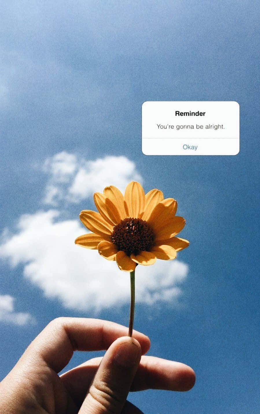 Sunflower Aesthetic iPhone 桌布 壁紙 — 一隻手拿著一朵鮮豔的黃色花朵，背景是明亮的藍天和蓬鬆的白雲，上面有一個數位提醒疊加層寫著『你會沒事的』。