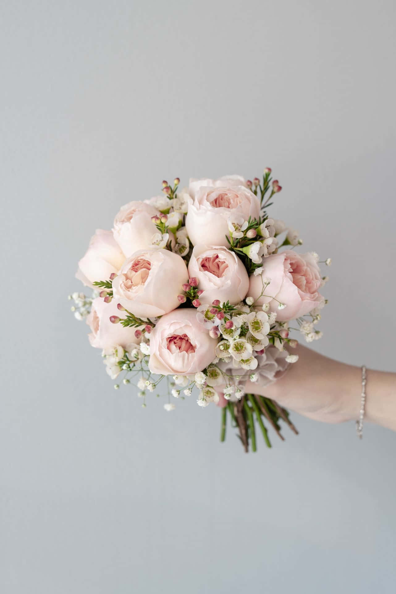 Roses Wedding 桌布 壁紙 — 一隻手拿著一束柔和的粉紅色牡丹和滿天星，背景是簡約的灰色。