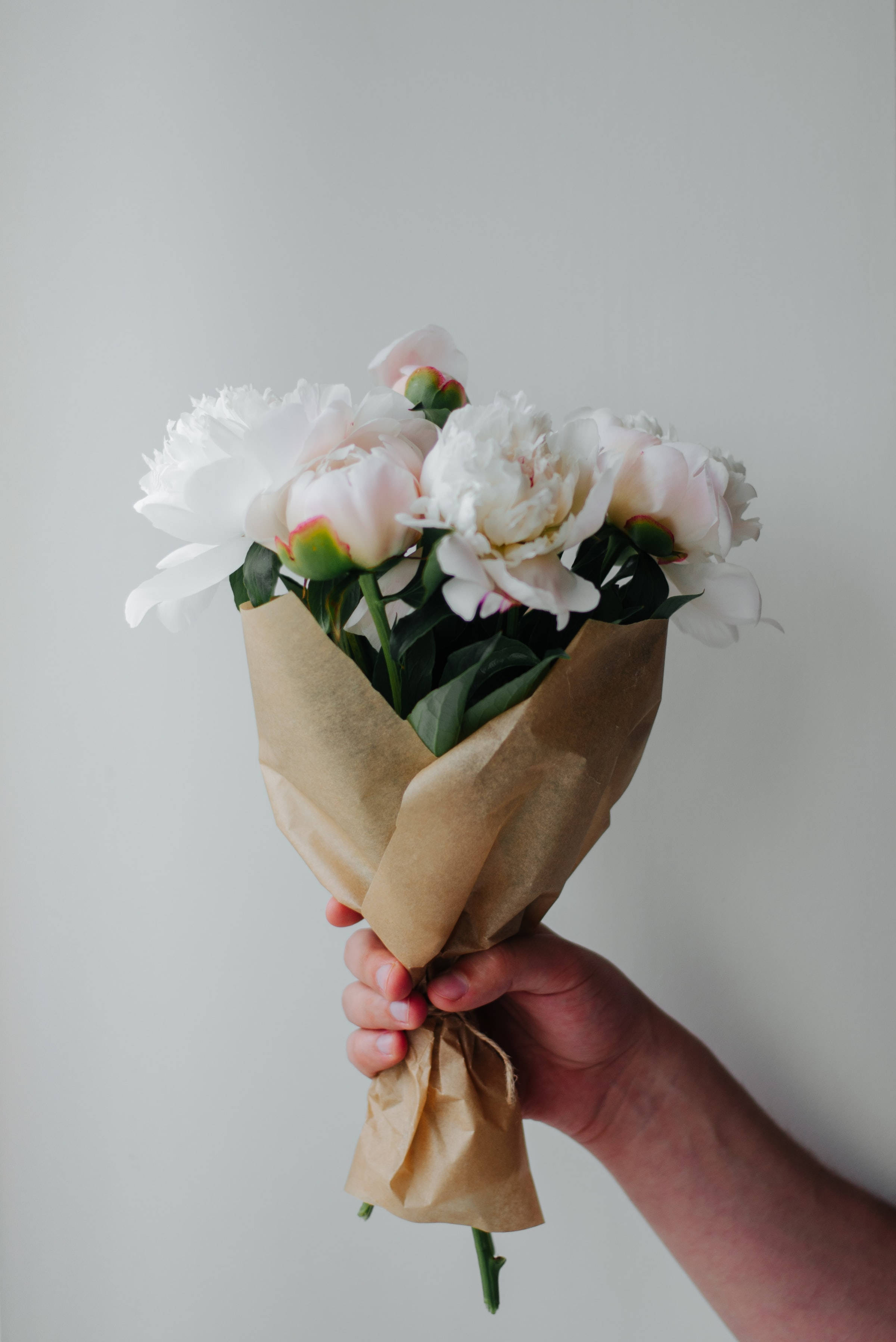 Bouquet 桌布 壁紙 — 一隻手拿著一束精緻的白色和淡粉紅色牡丹花，用棕色紙包裹，背景是柔和的灰色。