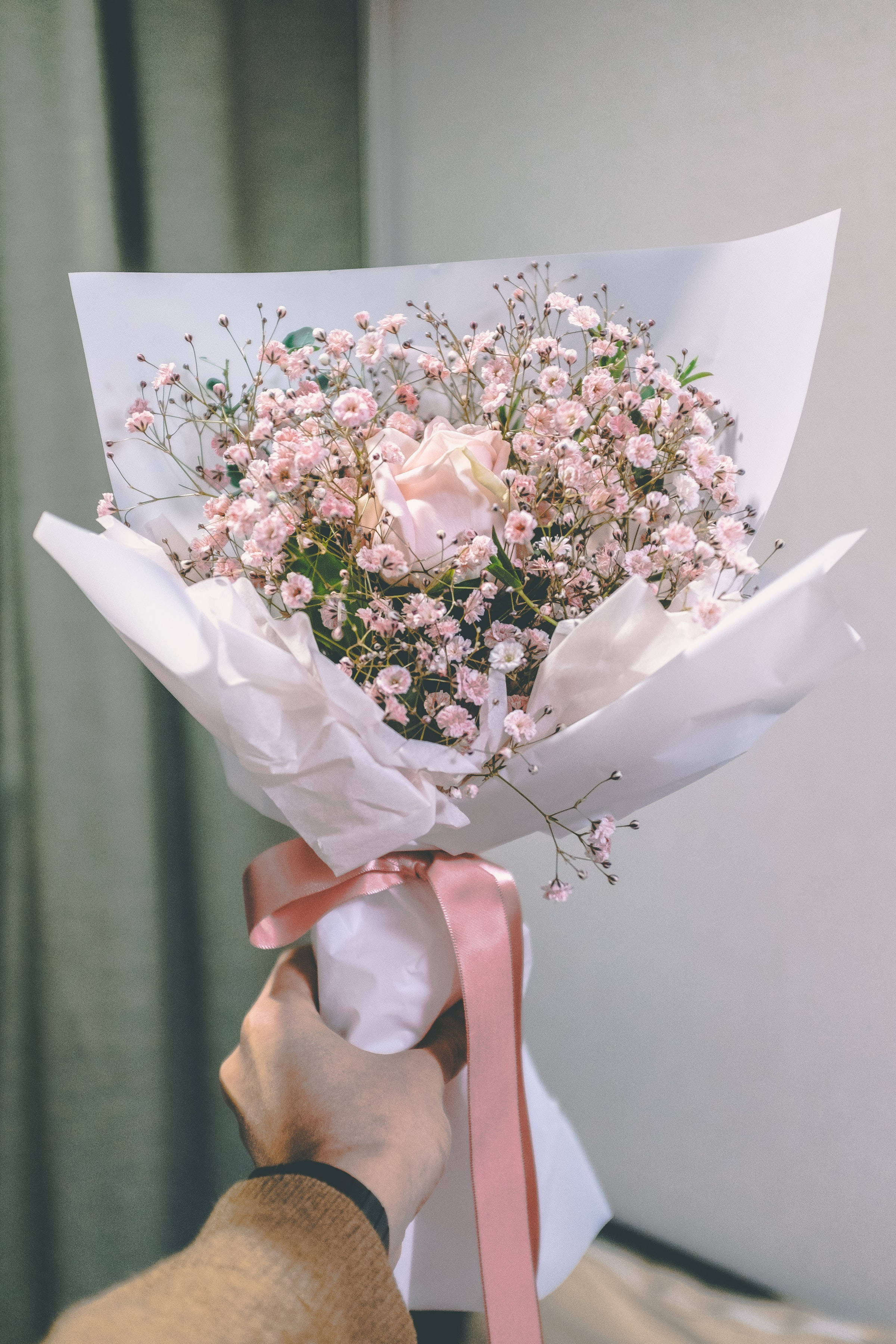Bouquet 桌布 壁紙 — 一隻手拿著一束精緻的粉紅玫瑰和滿天星，用白紙包裹並繫上柔軟的粉紅絲帶。