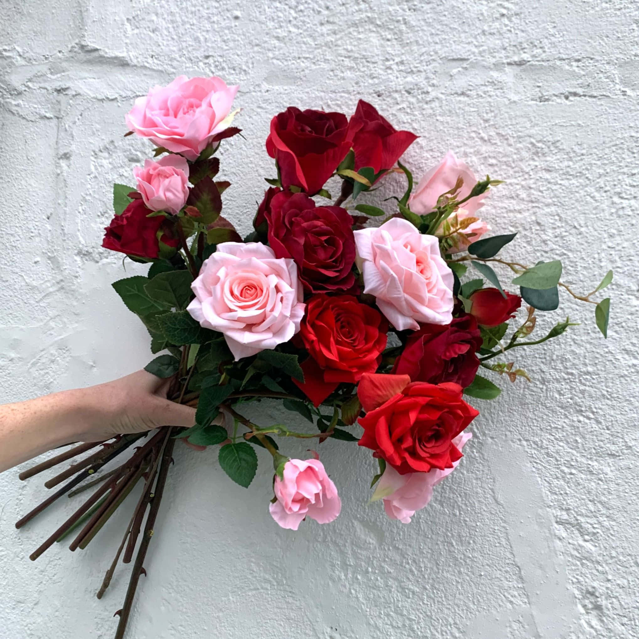 Roses Wedding 桌布 壁紙 — 一隻手拿著一束鮮豔的紅玫瑰和粉紅玫瑰，背景是帶有紋理的白色磚牆。