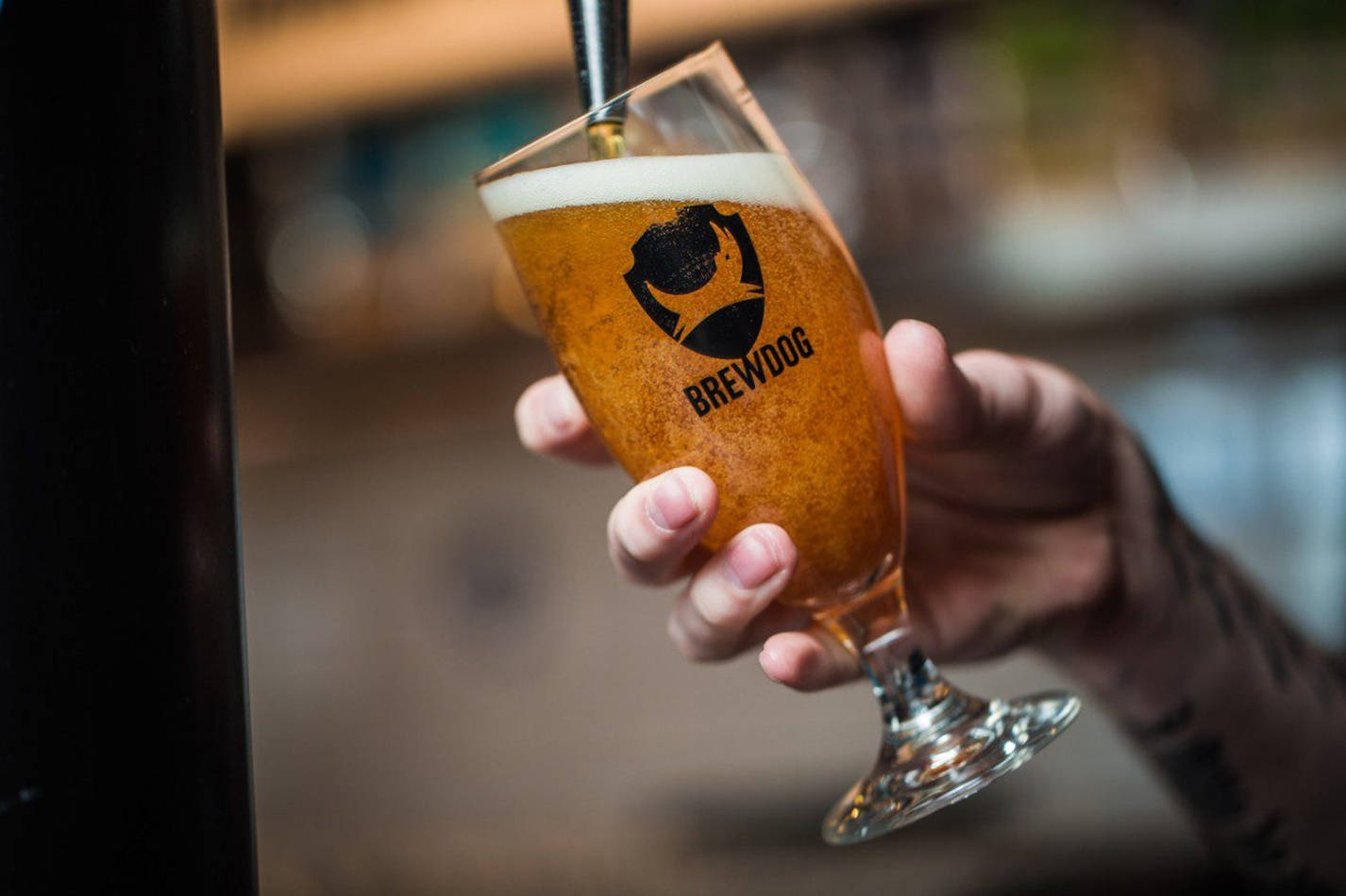 Drink 桌布 壁紙 — 一隻手拿著一杯琥珀色啤酒，帶有白色泡沫，從酒吧的水龍頭倒出。