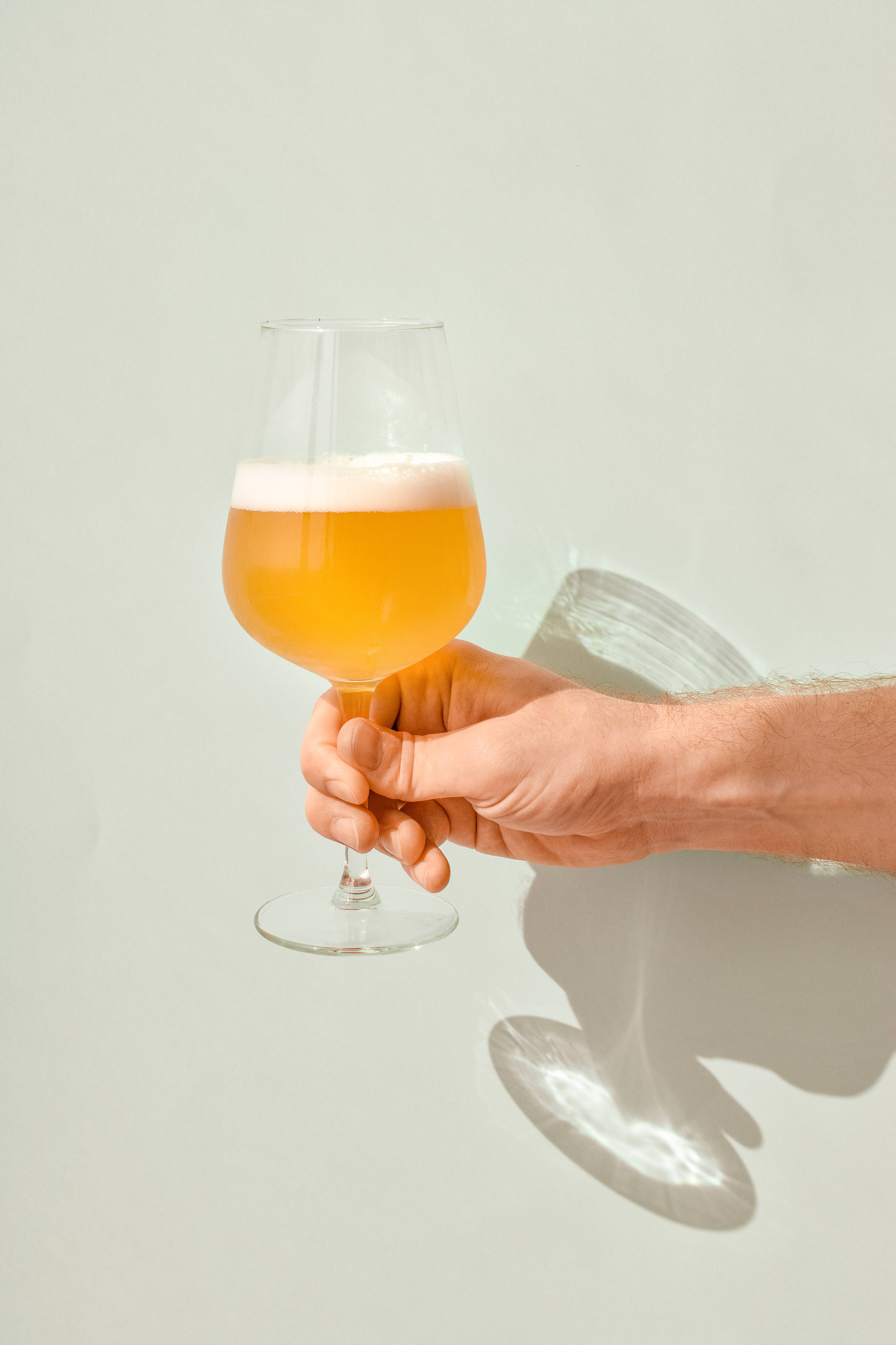 Beer 桌布 壁紙 — 一隻手拿著一杯金色啤酒，帶有白色泡沫，背景是純淺灰色，投射出柔和陰影。