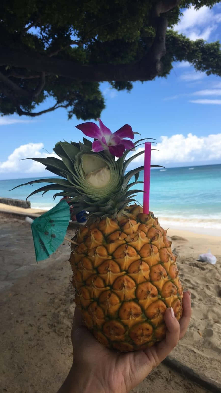 Pineapple 桌布 壁紙 — 一隻手拿著一杯鳳梨飲品，搭配紫色蘭花和粉紅色吸管，背景是熱帶海灘。