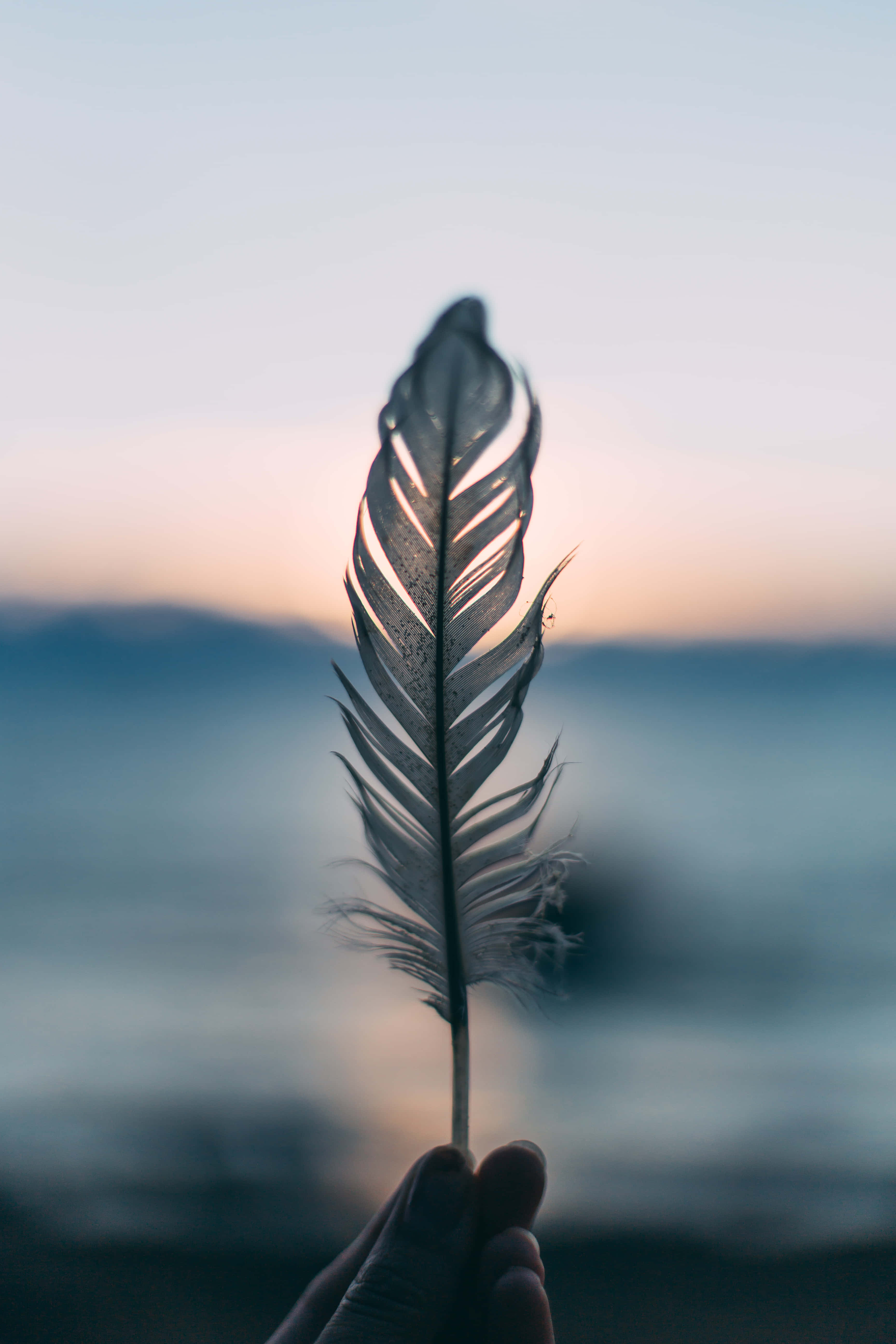 Feather 桌布 壁紙 — 一隻手拿著一根羽毛，背景是柔和的日落天空，有模糊的山脈和水面。