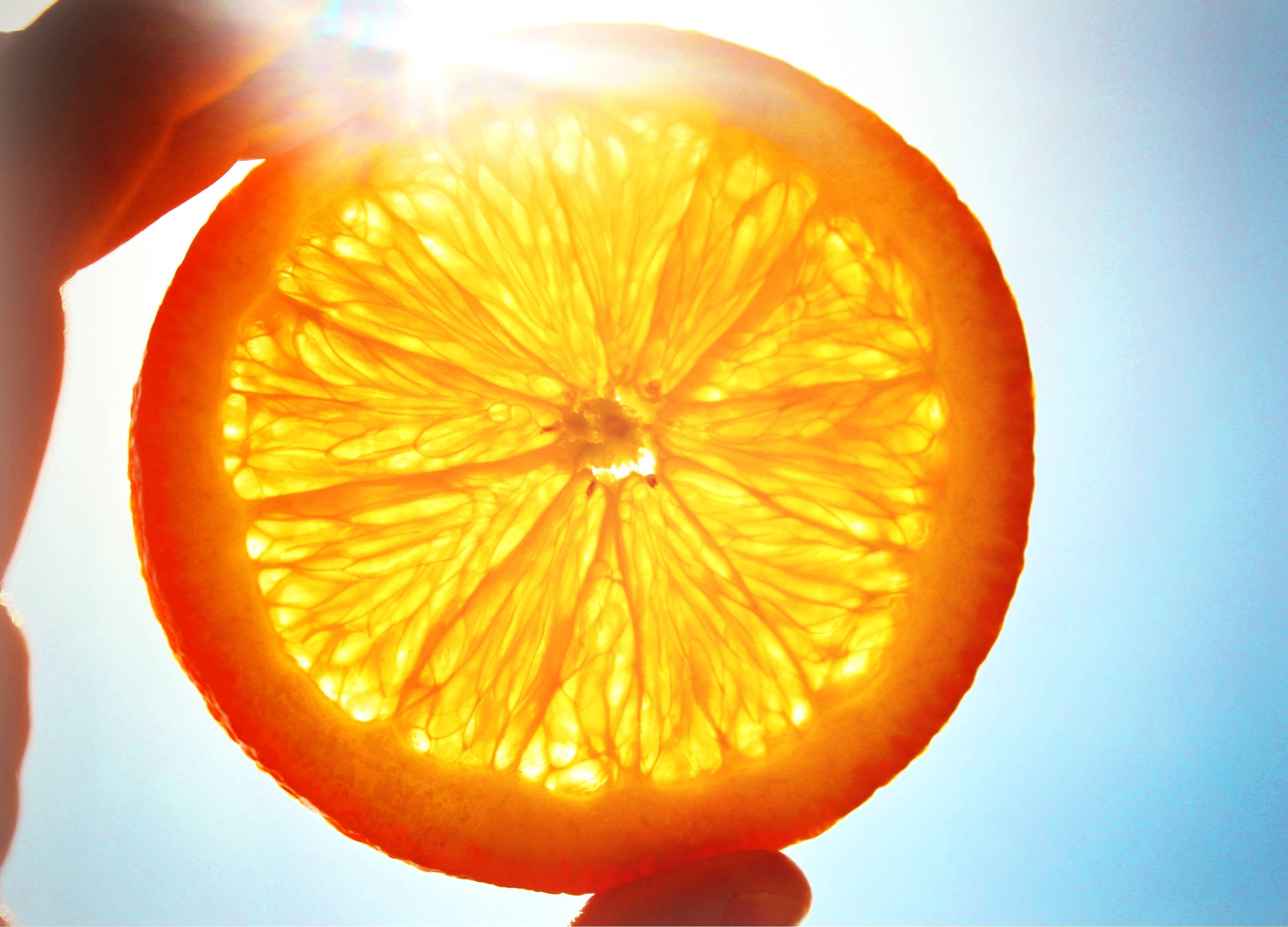 Fruit 桌布 壁紙 — 一隻手拿著一片切開的柳橙對著太陽，透過多汁的果肉創造出燦爛的金色光芒。