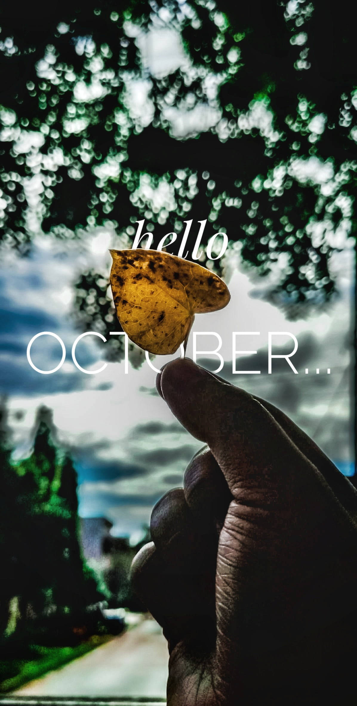 Hello 桌布 壁紙 — 一隻手拿著一片黃葉，背景是模糊的秋天景色，上面寫著哈囉十月。