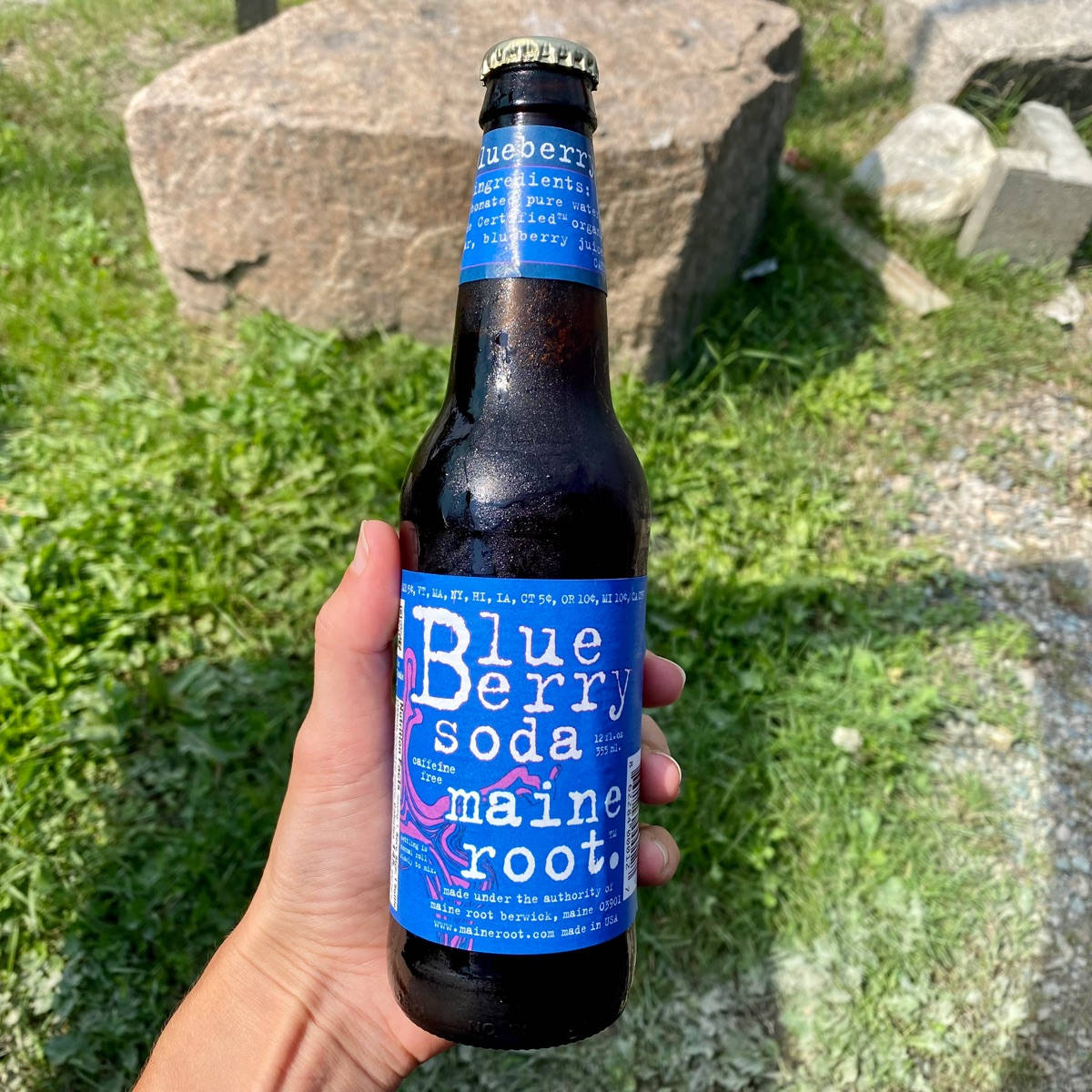 Drink 桌布 壁紙 — 一隻手拿著一瓶冰凍藍莓汽水，標籤鮮豔，背景是陽光明媚的草地和岩石。