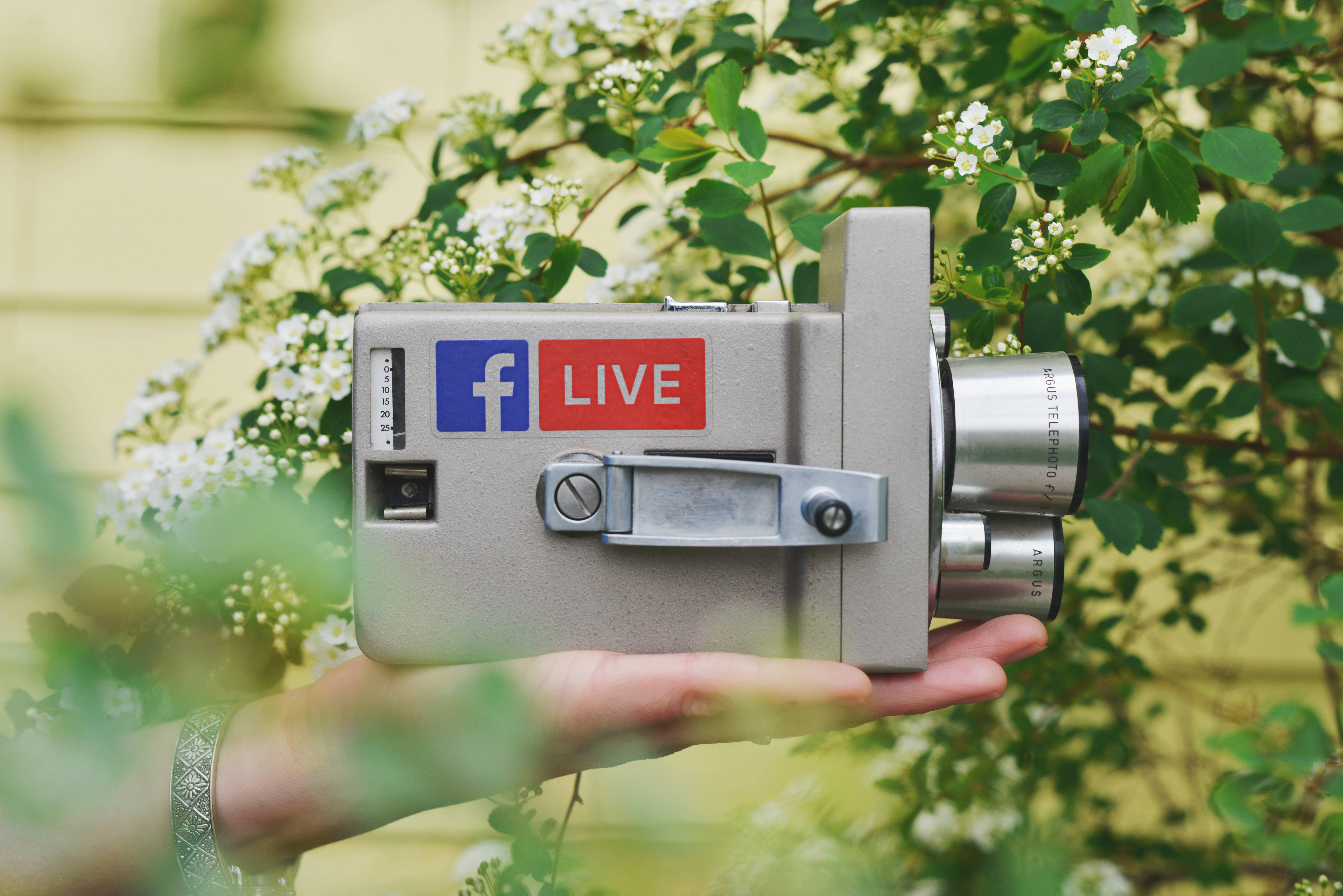 Facebook 桌布 壁紙 — 一隻手拿著一部帶有Facebook Live貼紙的復古銀色相機，背景是綠色樹葉和白色花朵。