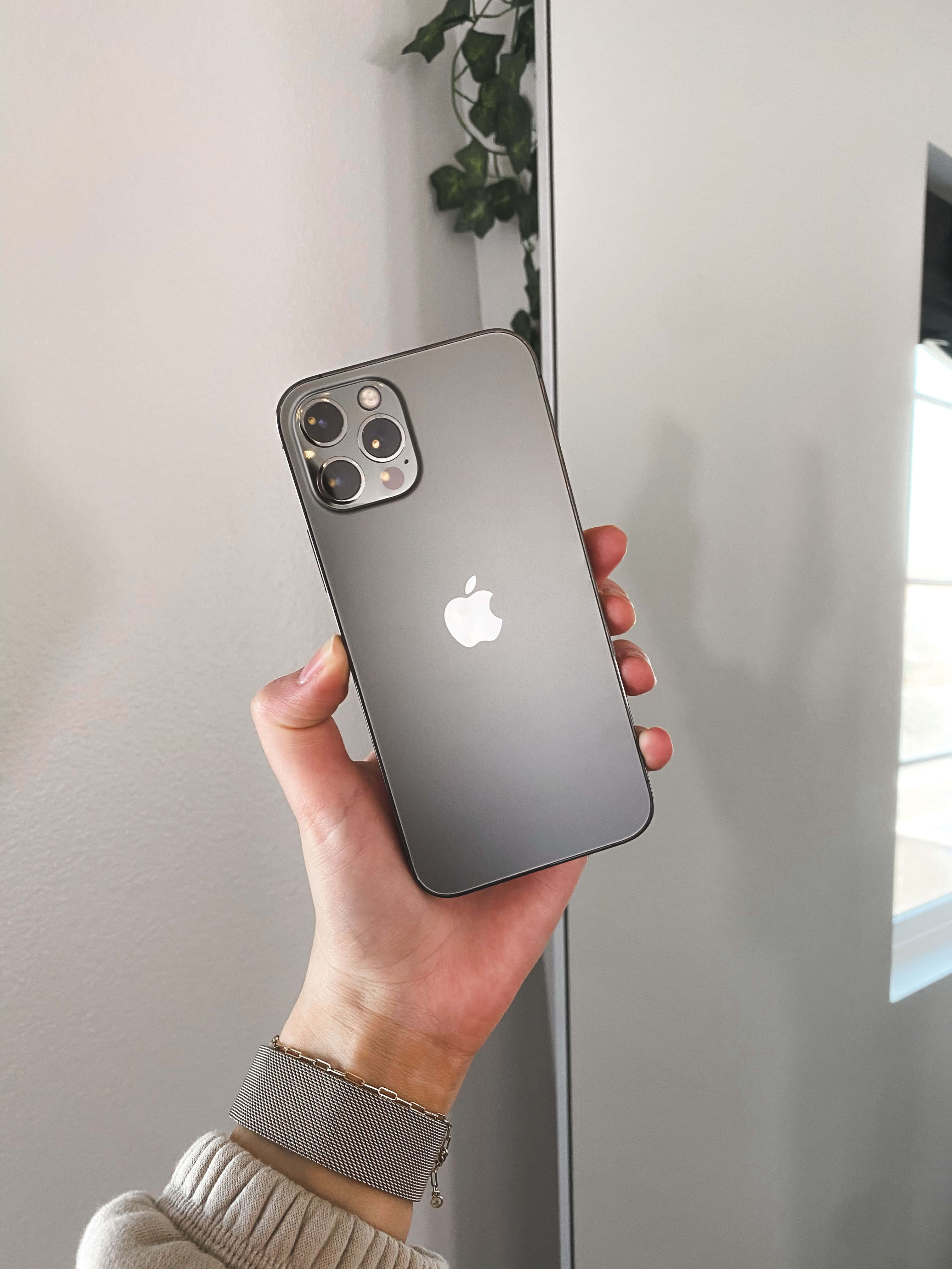 iPhone 12 桌布 壁紙 — 一隻手拿著一部時尚的磨砂灰色iPhone，配備三鏡頭相機，背景是簡約的白色牆壁和綠色植物。