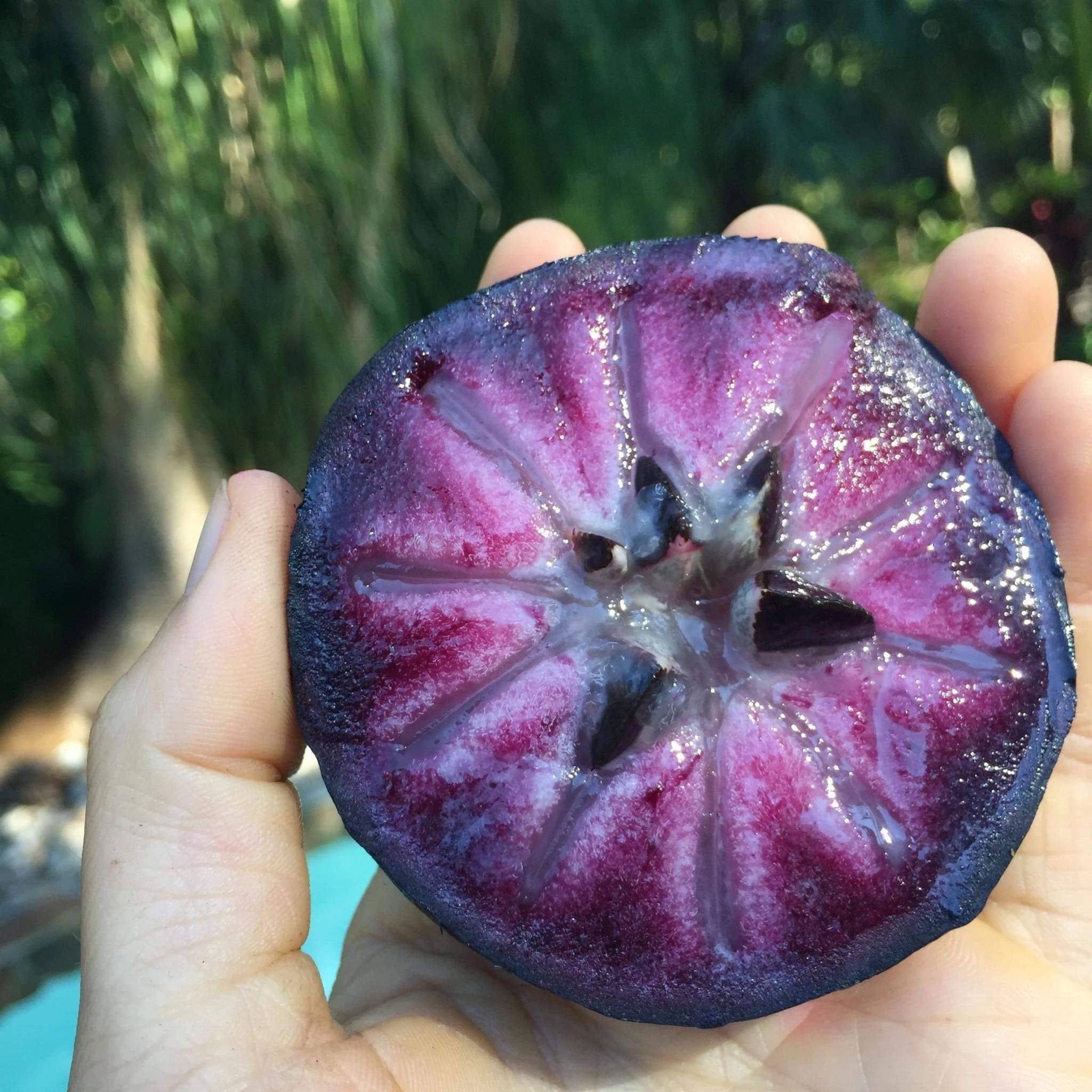 Fruit 桌布 壁紙 — 一隻手拿著切開的楊桃，露出鮮紫色的果肉和深色種子，背景是模糊的綠色戶外環境。