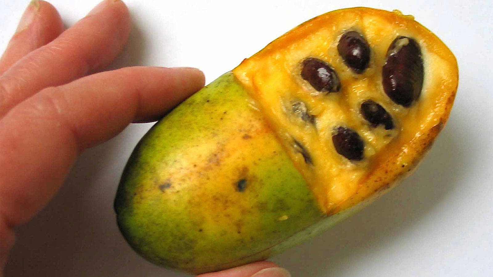 Fruit 桌布 壁紙 — 一隻手拿著半個剖開的泡泡果，露出橙色的果肉和深色的種子，背景為白色。
