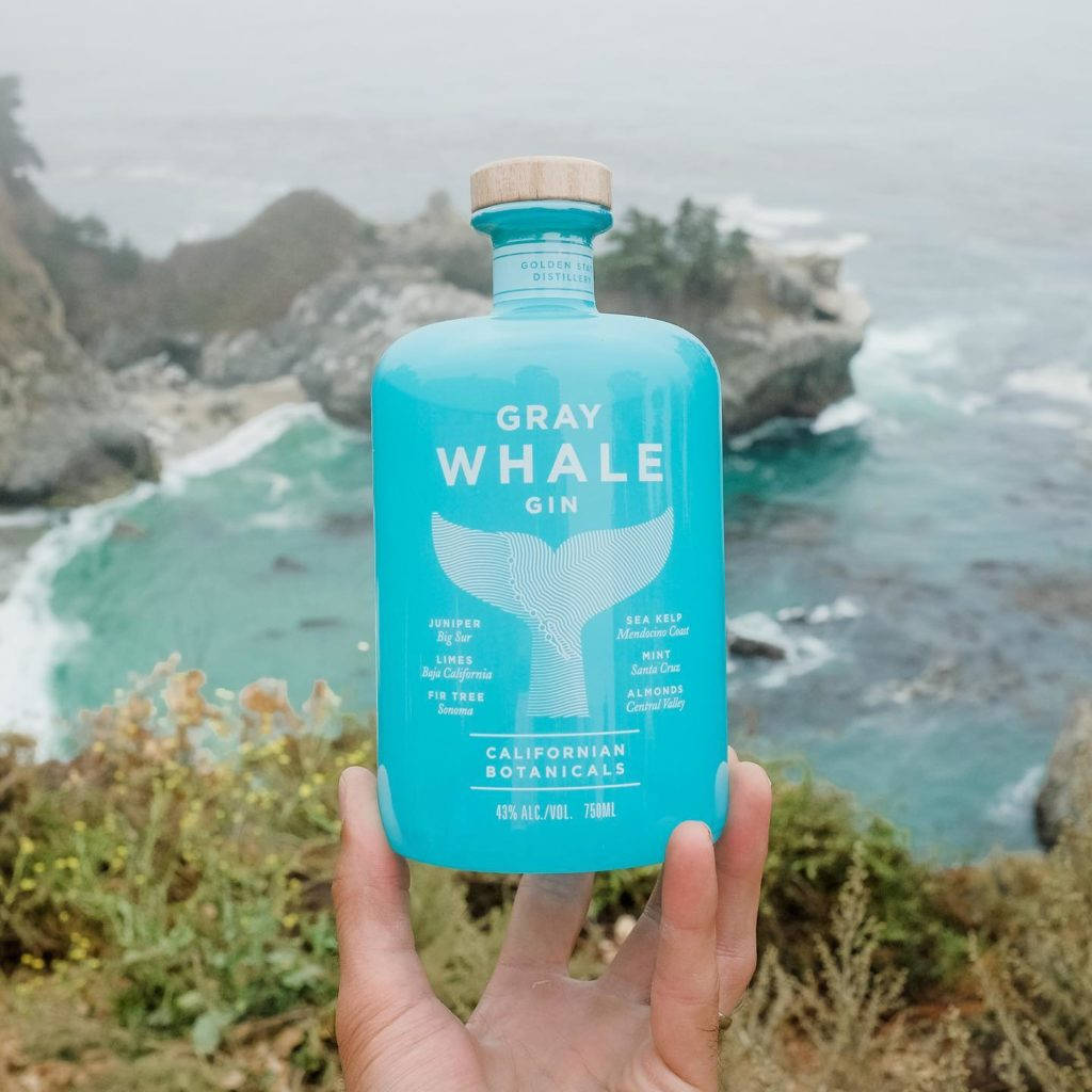 bottle 桌布 壁紙 — 一隻手拿著明亮的藍色Gray Whale Gin酒瓶，背景是霧氣瀰漫的海岸懸崖和翻騰的碧綠海浪。