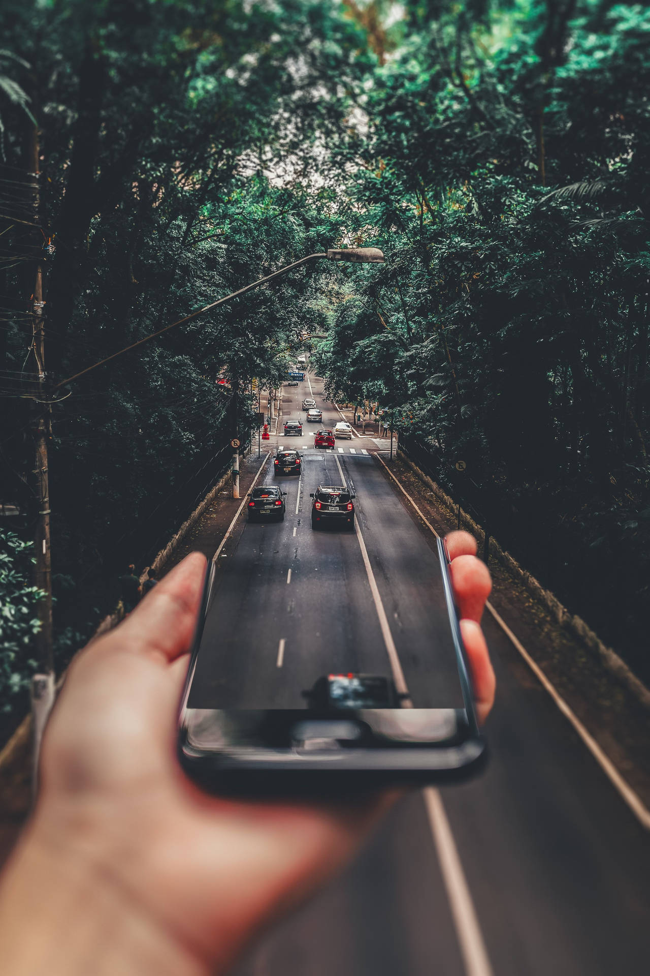 手拿著手機拍攝一條穿過茂密綠樹的道路，有汽車行駛。 — 4K Android 壁紙