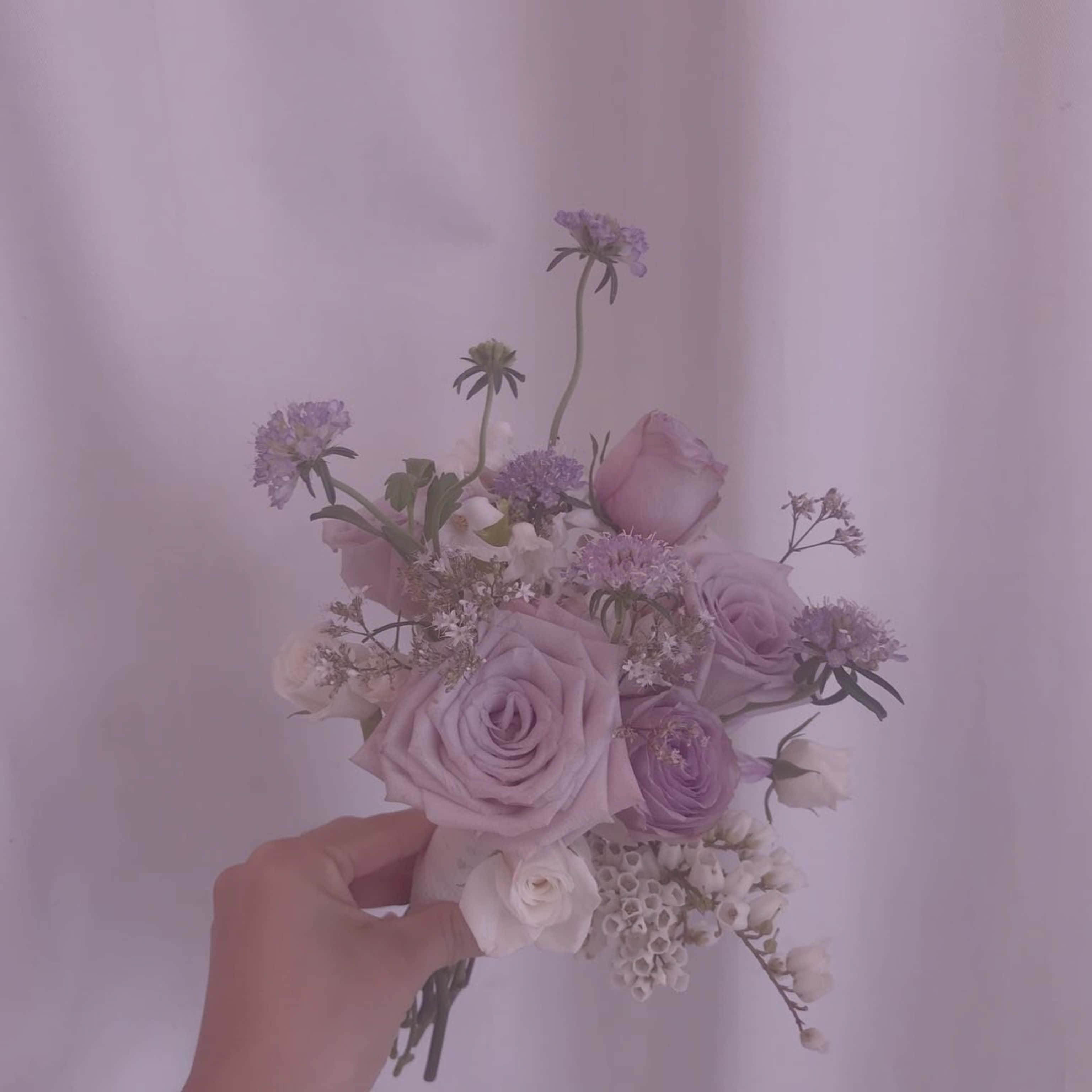 Violet Aesthetic 桌布 壁紙 — 一隻手拿著柔和的薰衣草和白色花束，背景是柔和的粉紅色，光線柔和。