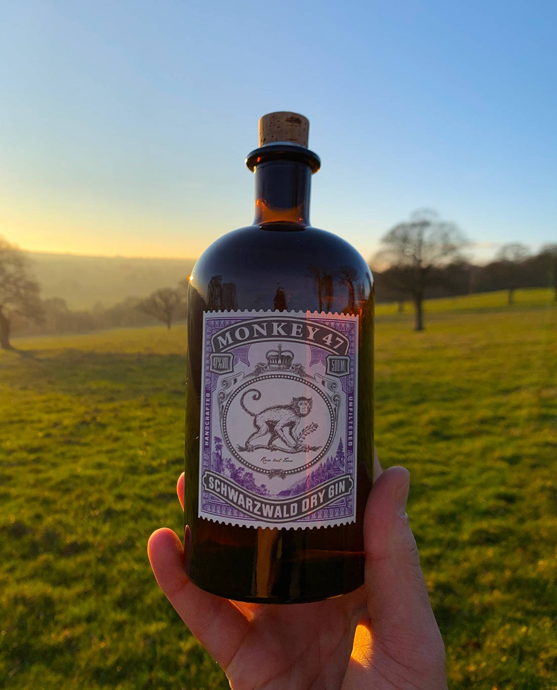 Gin 桌布 壁紙 — 一隻手拿著深琥珀色的Monkey 47琴酒瓶，背景是霧氣籠罩的綠色田野上的金色日出。
