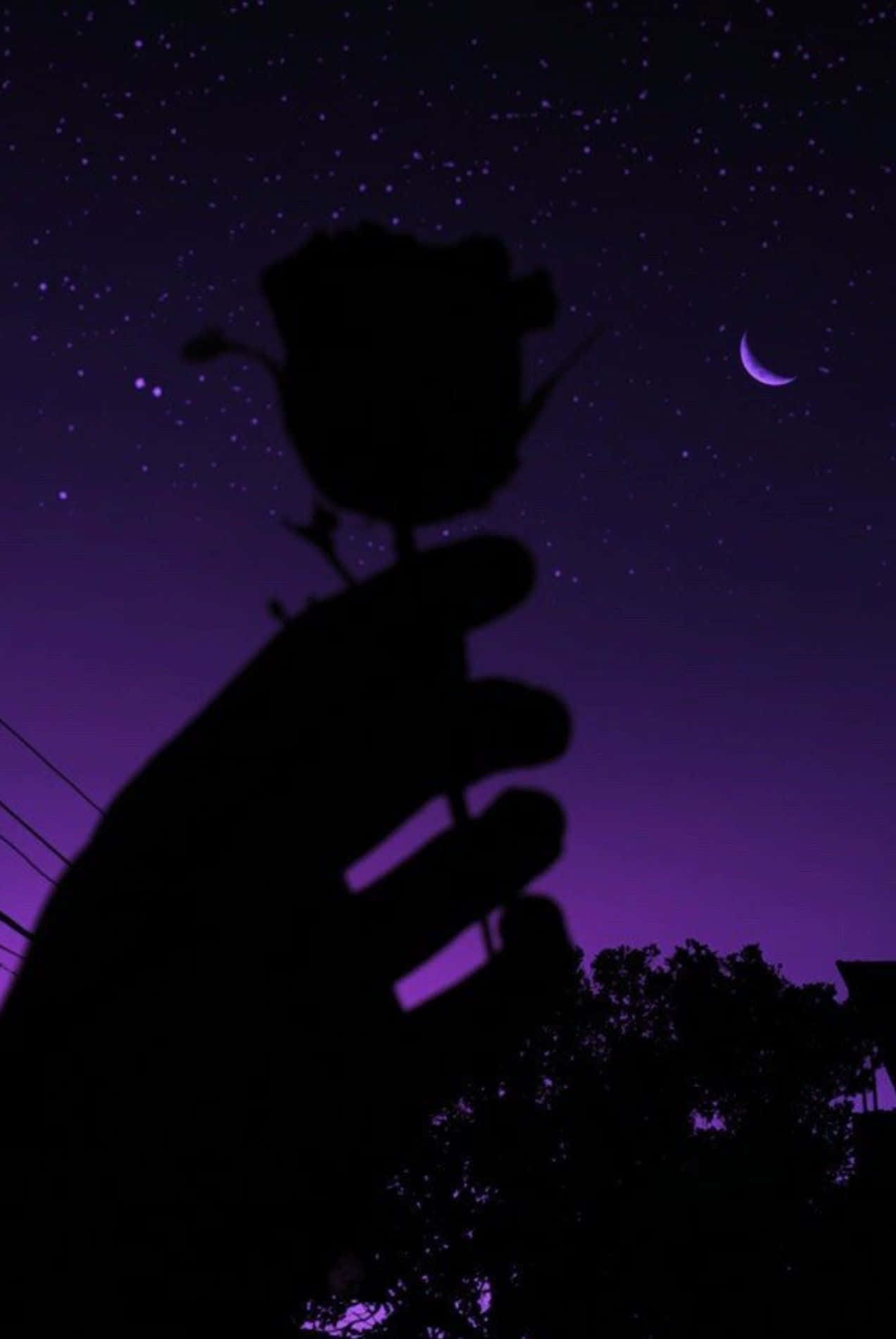 Goth Aesthetic Black 桌布 壁紙 — 一隻手拿著玫瑰剪影，背景是充滿星星和新月的 vibrant 紫色夜空。