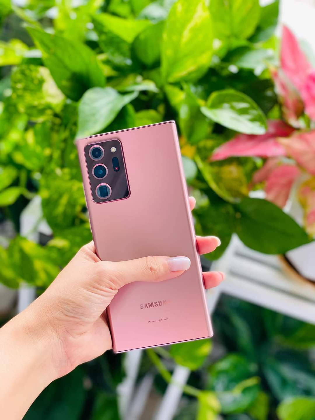 Samsung Galaxy Note 20 Ultra 桌布 壁紙 — 一隻手拿著玫瑰金三星智慧型手機，背景是茂密的綠色和粉紅色樹葉。