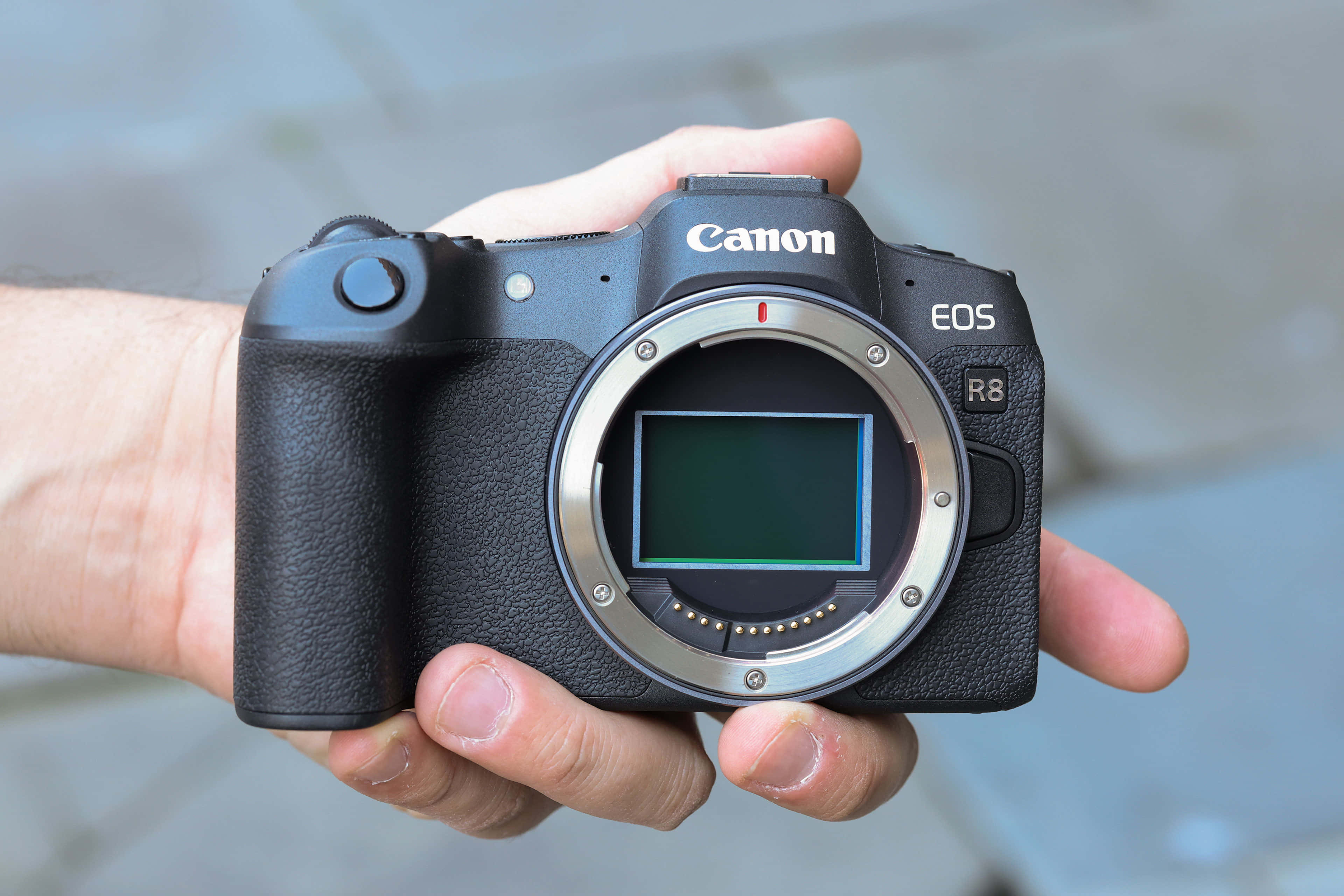 相機 桌布 壁紙 — 一隻手拿著黑色Canon EOS R8相機機身，露出內部的感應器。