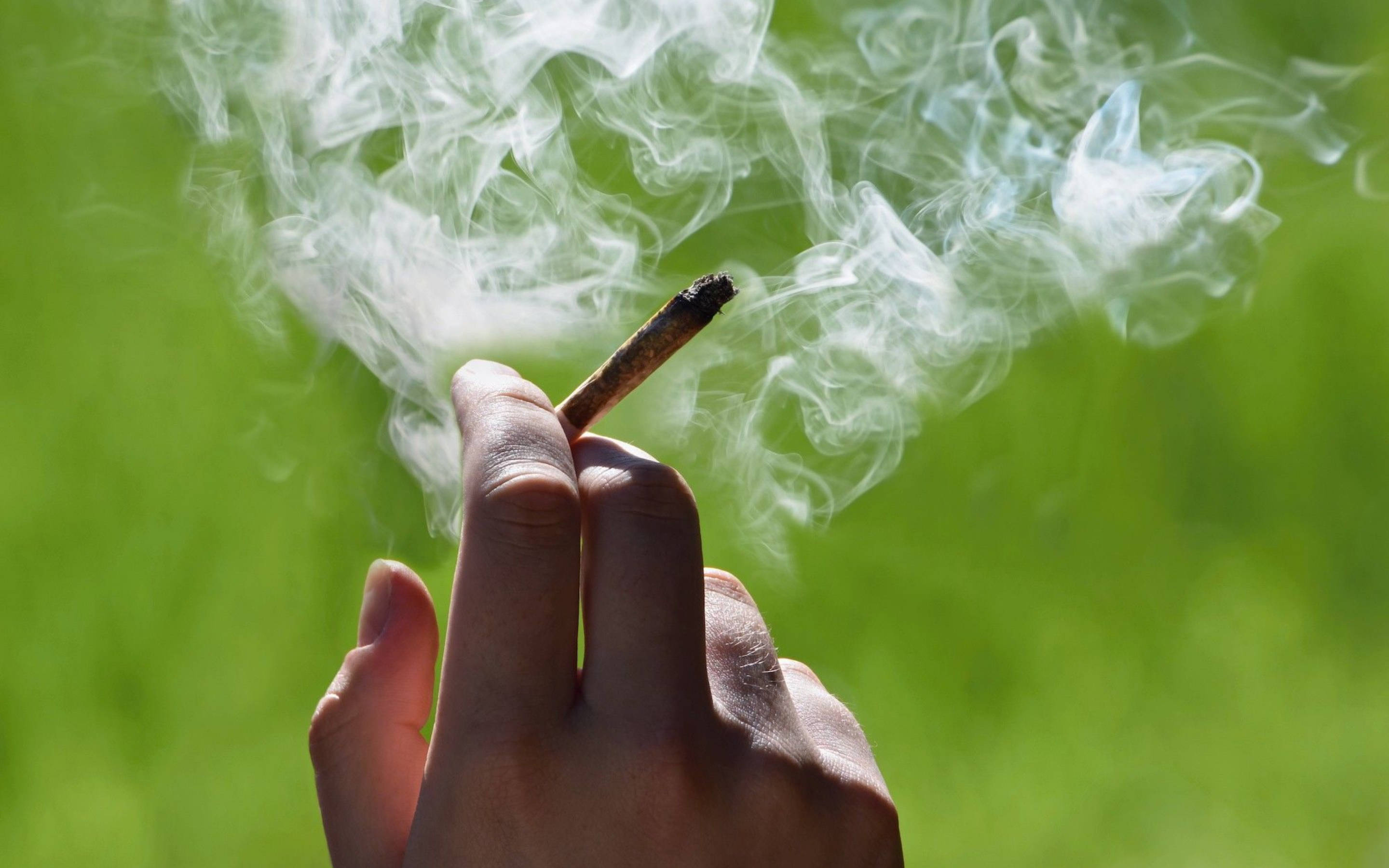 吸大麻 桌布 壁紙 — 一隻手拿著點燃的大麻煙，背景是鮮豔的綠色模糊背景，濃濃的白煙向上盤旋。