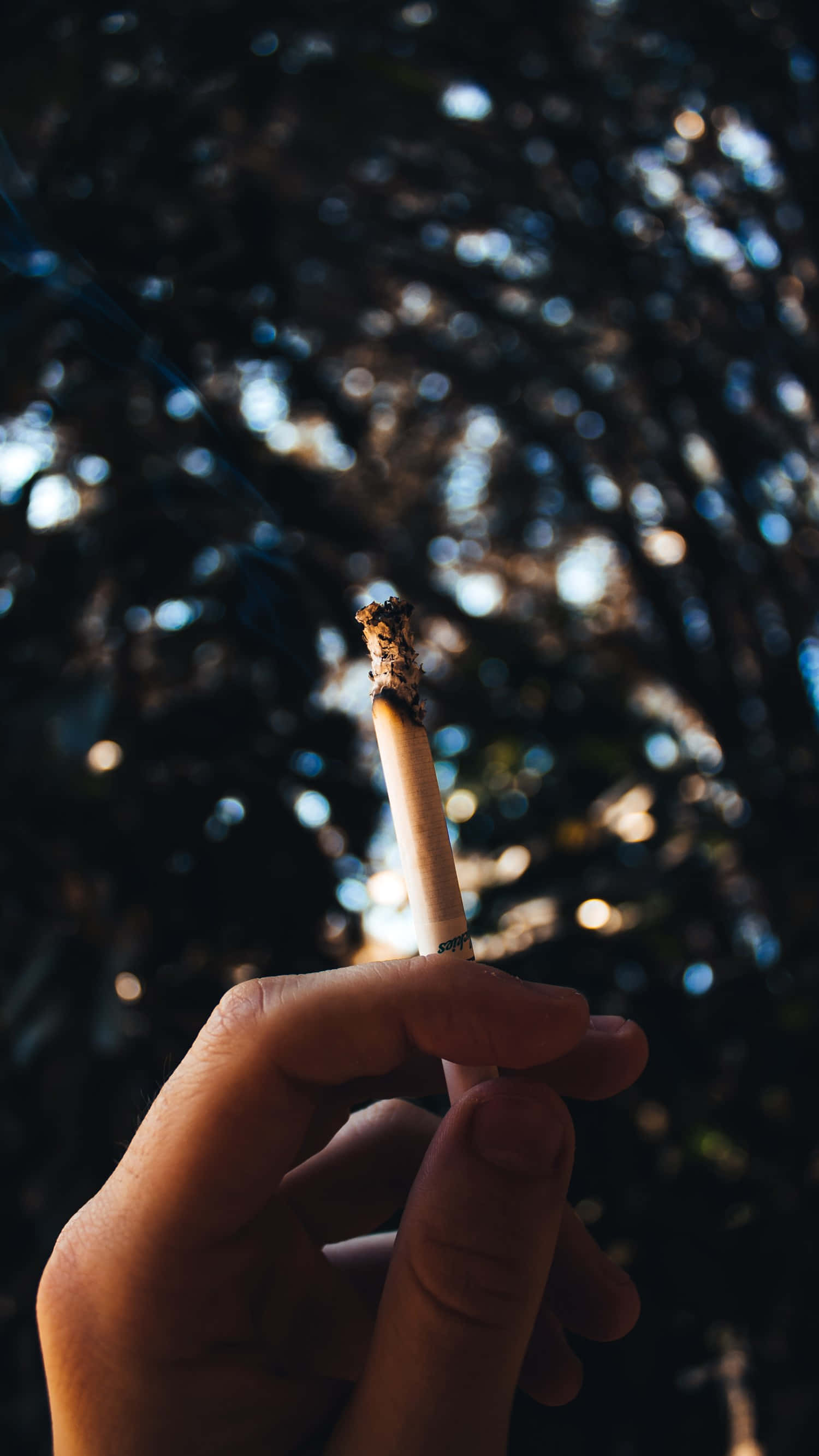 攝影 桌布 壁紙 — 一隻手拿著點燃的香菸，背景是模糊的樹葉和斑駁的陽光。