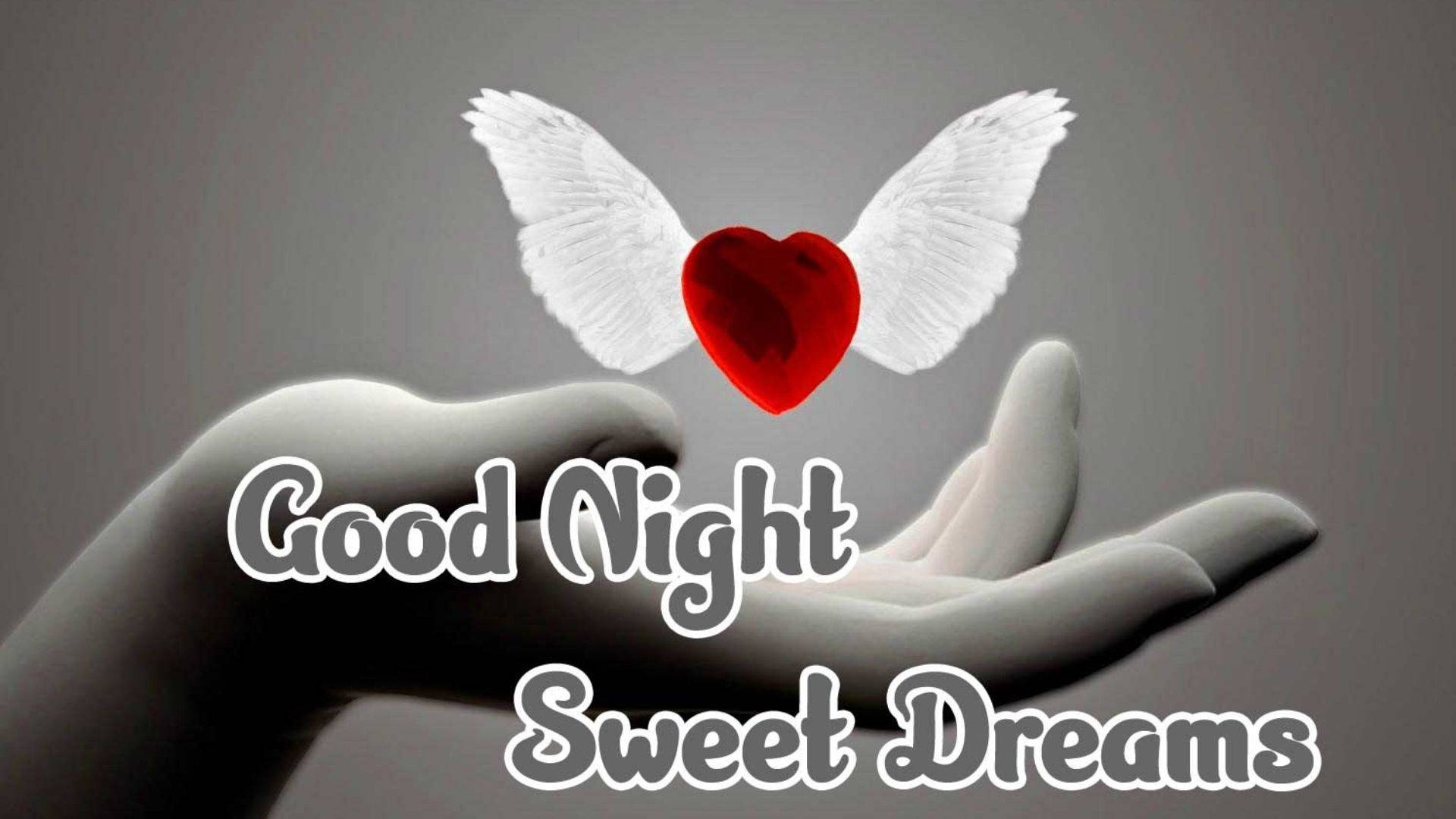dreams 桌布 壁紙 — 一隻手捧著一個帶有白色翅膀的紅色愛心，背景為灰色，並有「晚安 甜夢」文字。