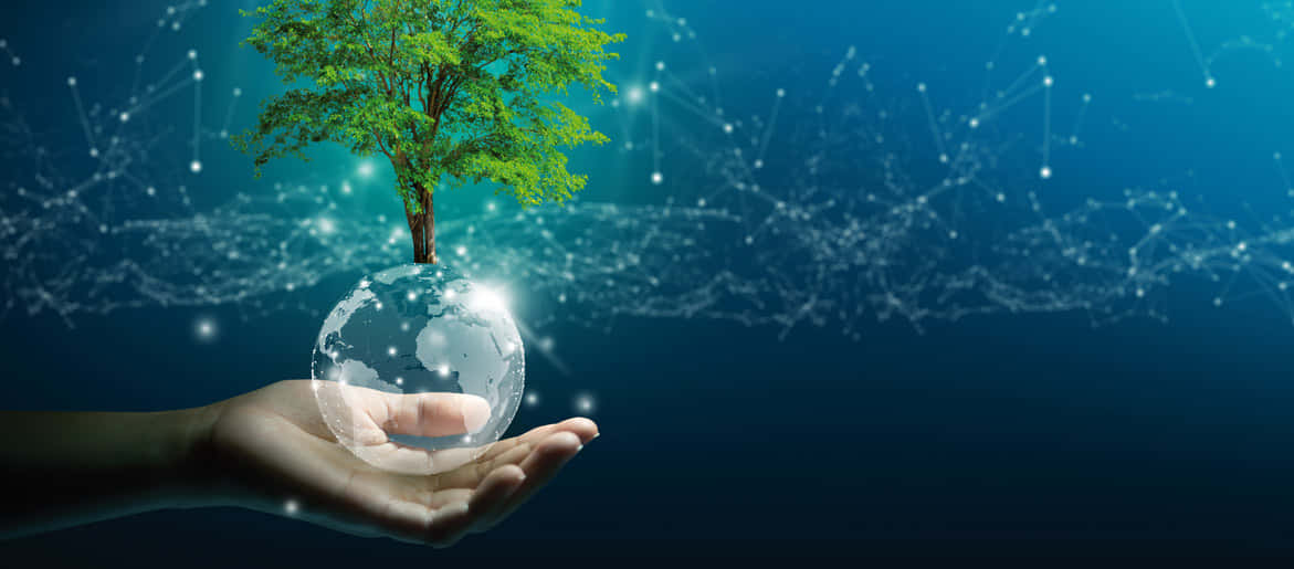 Green Technology 桌布 壁紙 — 一隻手捧著一個發光的地球儀，頂部長出一棵充滿活力的綠色樹木，背景是深藍色的數位網路。
