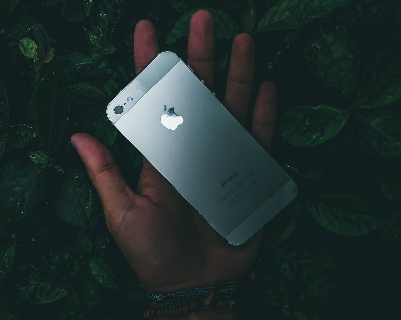 深色 iPhone 桌布 壁紙 — 一隻手捧著銀色iPhone，背景是昏暗光線下的深綠色樹葉。