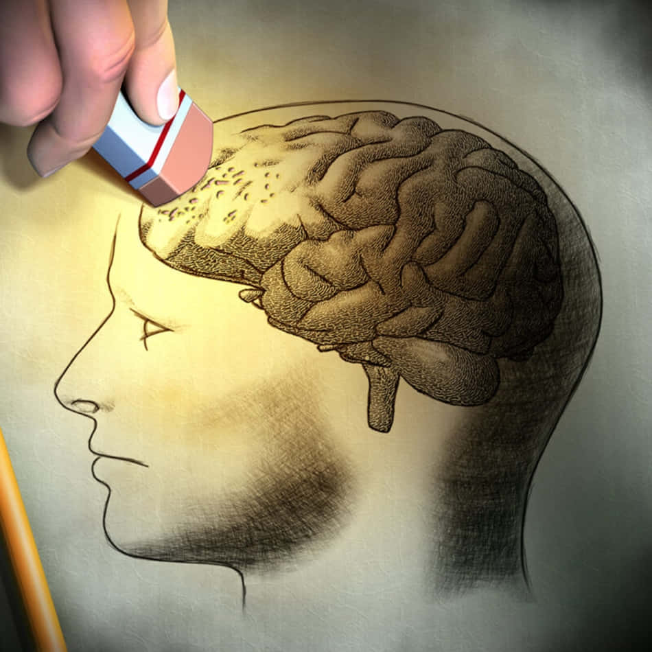 Memory 桌布 壁紙 — 一隻手正在擦除用鉛筆畫在紙上的人類頭部輪廓內的部分大腦。