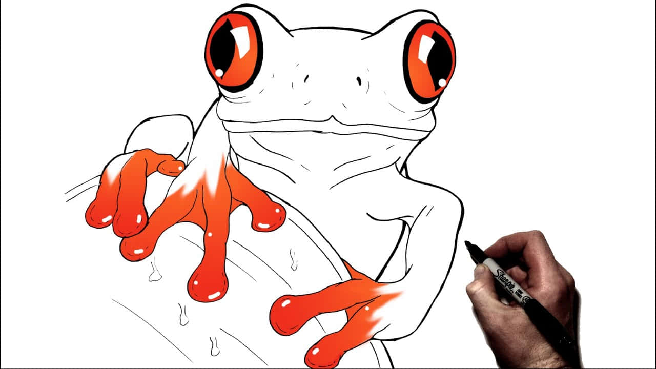 Frog Drawing 桌布 壁紙 — 一隻手正在白色繪圖表面上用Sharpie記號筆為卡通青蛙的紅色眼睛和腳上色。