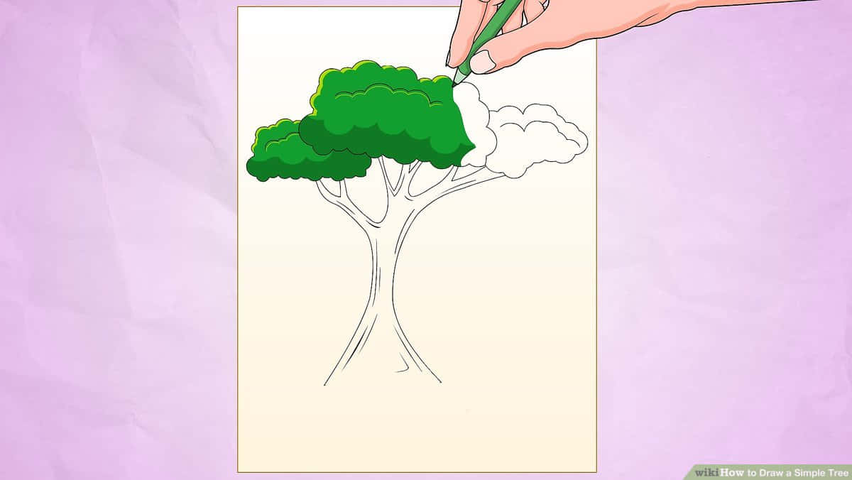 coloring 桌布 壁紙 — 一隻手用馬克筆在皺巴巴的紙上為樹木草圖的綠色樹冠上色，背景是柔和的紫色。