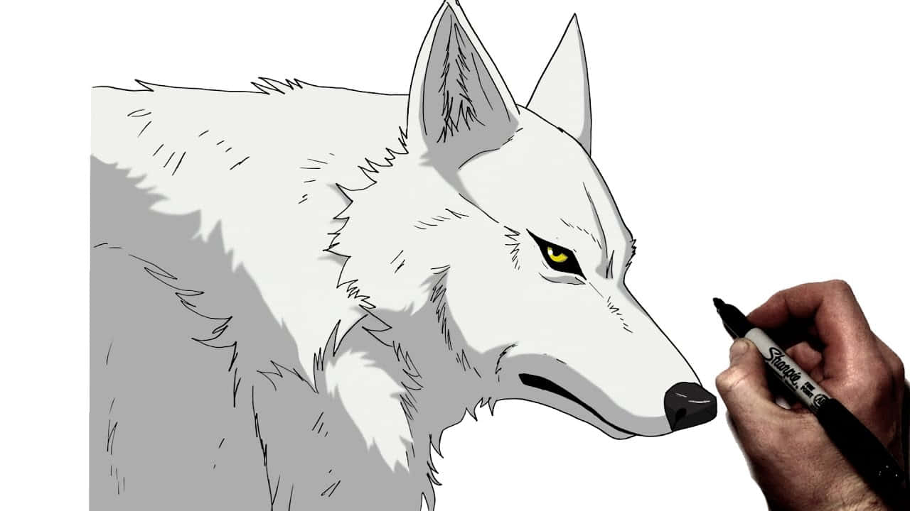 Wolf Art 桌布 壁紙 — 一隻手用黑色麥克筆在純白背景上畫出一隻細節豐富、擁有銳利黃眼睛的白狼。