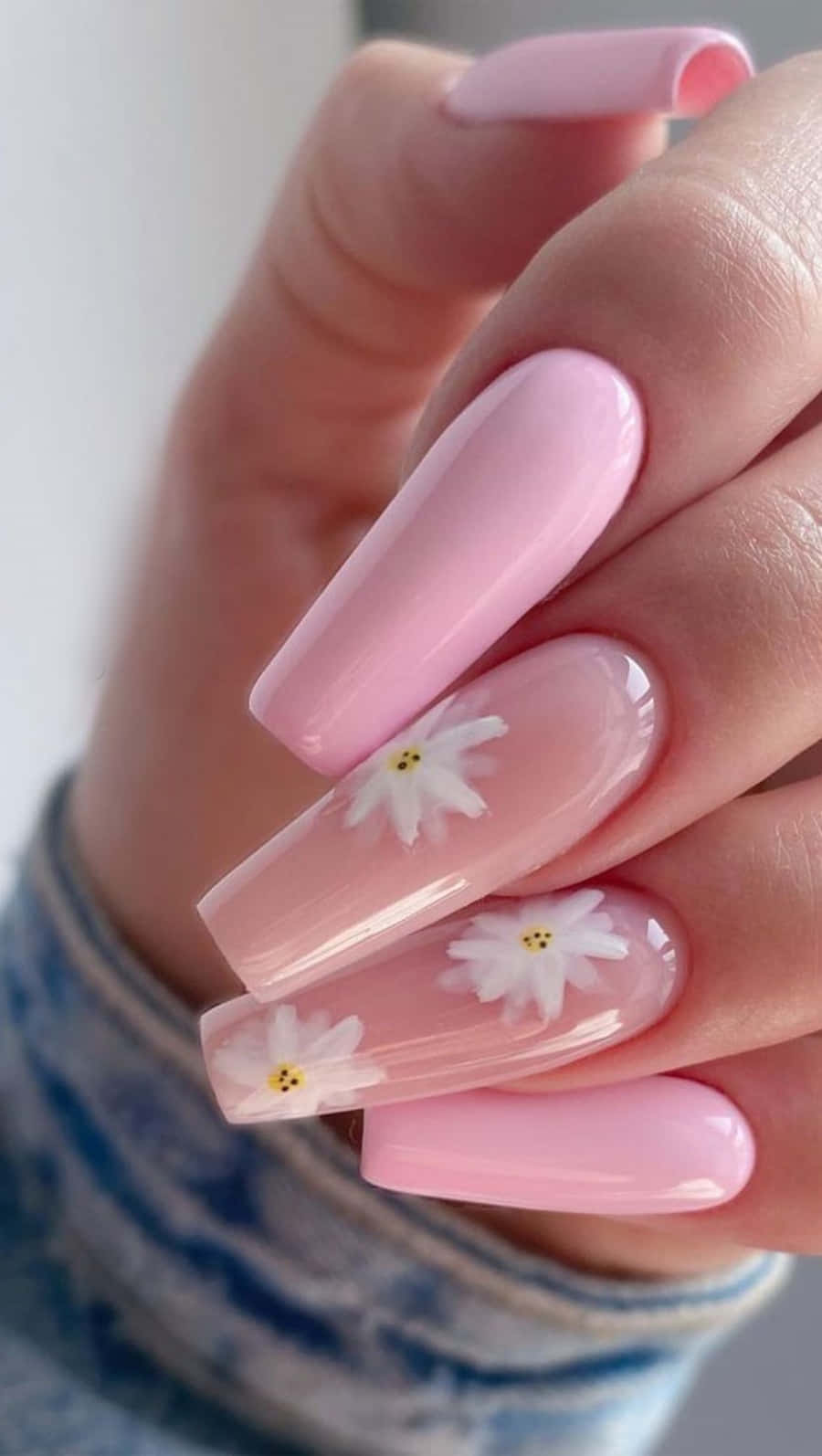Pink Nail Art 桌布 壁紙 — 一隻手的特寫，長長的粉紅色指甲上點綴著精緻的白色雛菊貼紙，背景柔和模糊。