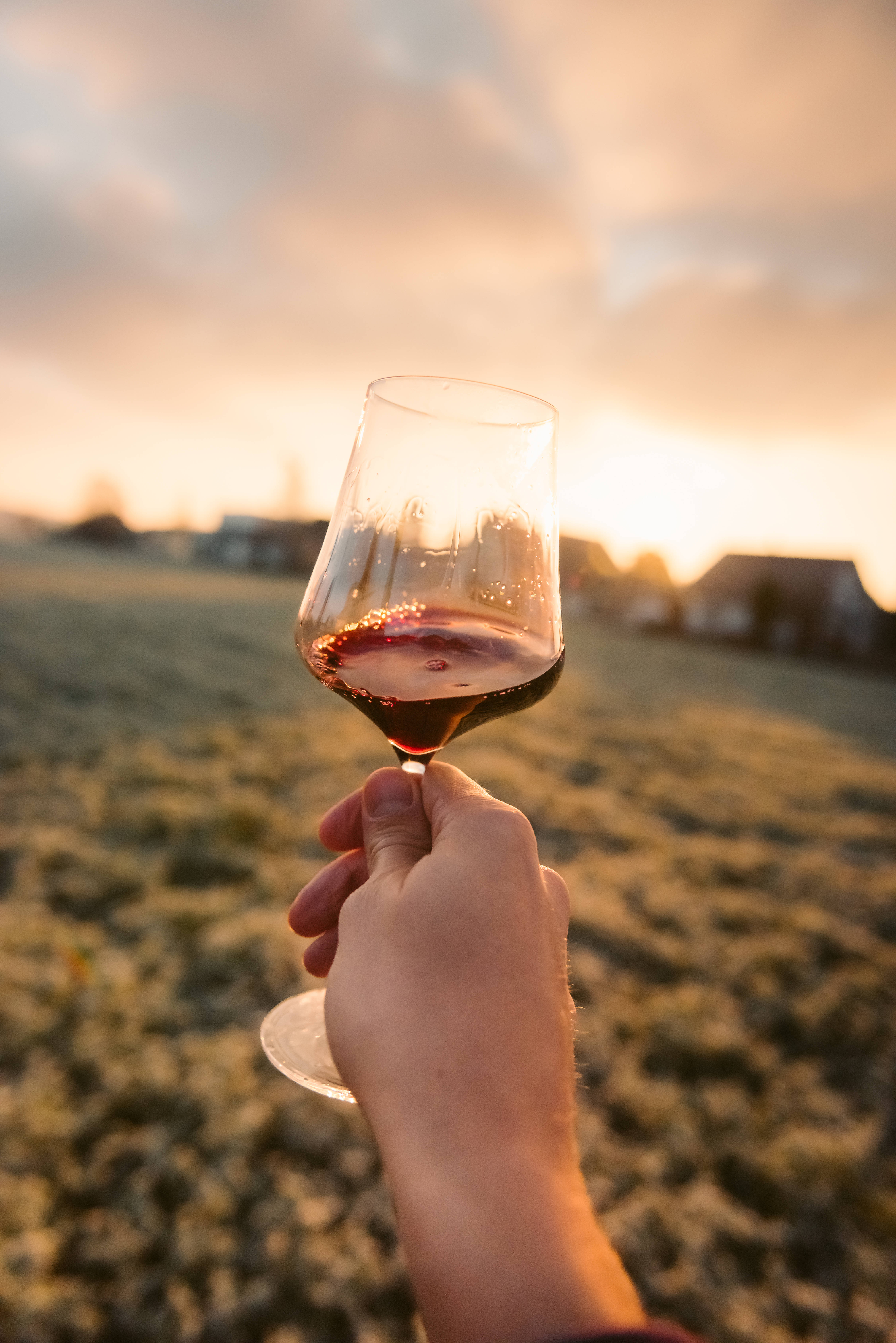 葡萄酒 桌布 壁紙 — 一隻手舉起一杯紅酒，映襯著金色夕陽，背景是霜凍的田野和遠處模糊的房屋。