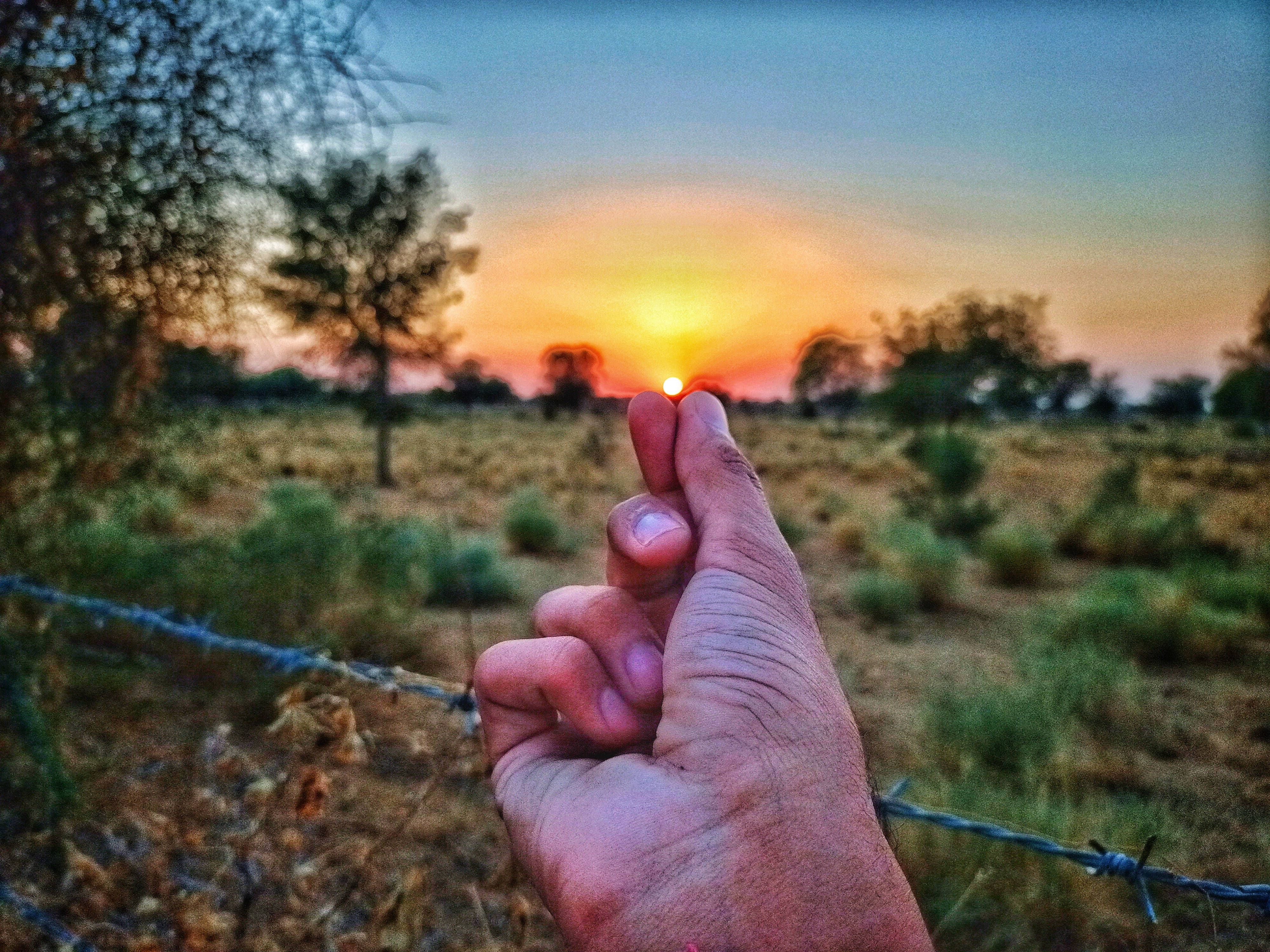 日落 桌布 壁紙 — 一隻手輕輕地將夕陽夾在手指間，背景是溫暖的日落天空，前景是乾燥的草原和帶刺鐵絲網。