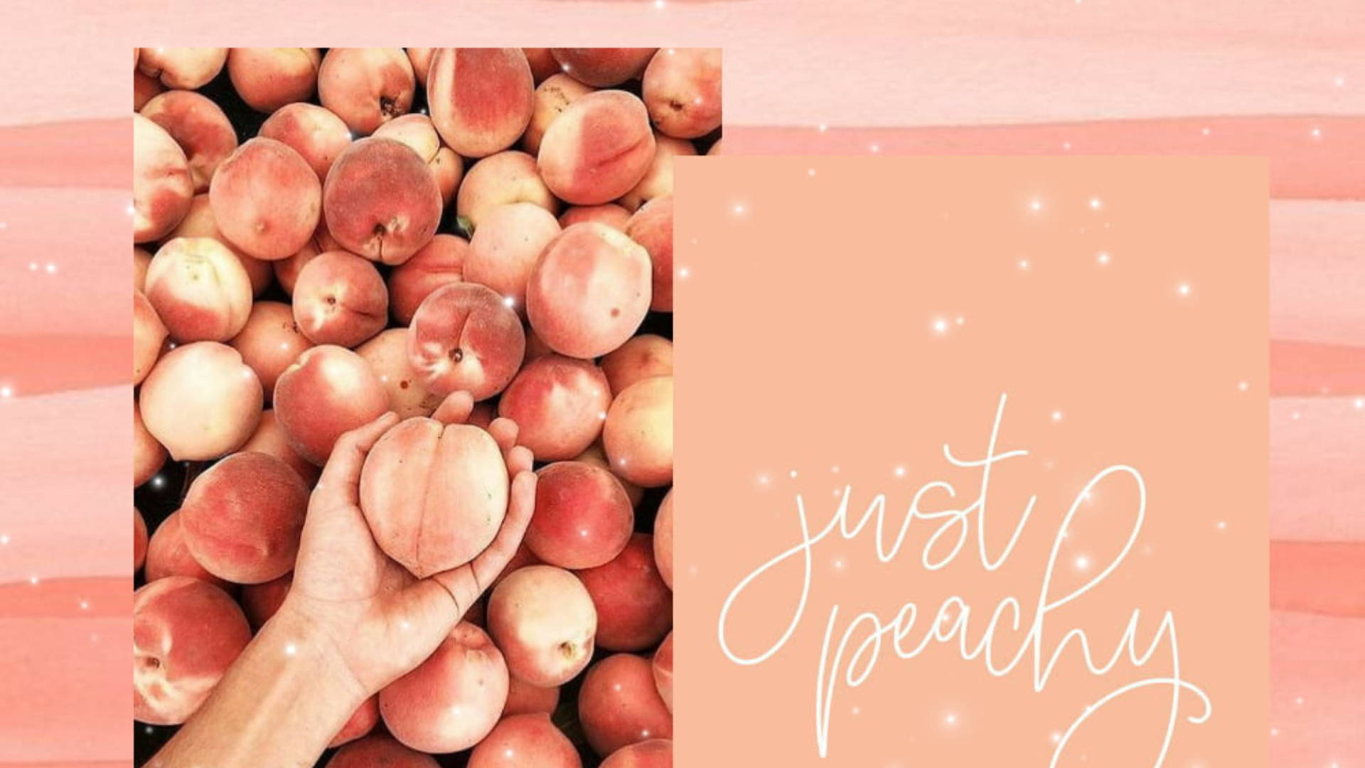 Peach 桌布 壁紙 — 一隻手輕輕地拿著一個成熟的水蜜桃，周圍是一堆新鮮的水蜜桃，背景是柔和的粉紅色水彩畫，帶有閃閃發光的點綴。