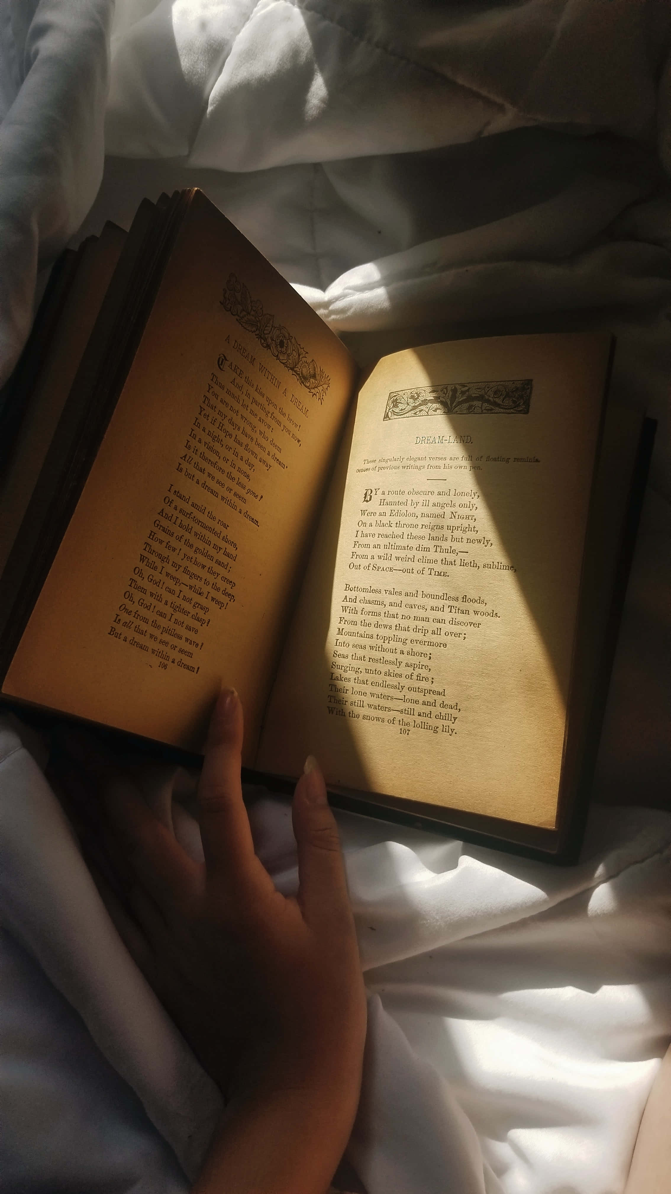 藝術 桌布 壁紙 — 一隻手輕輕地拿著一本打開的復古書，放在陽光普照的床上，床單是皺巴巴的白色。
