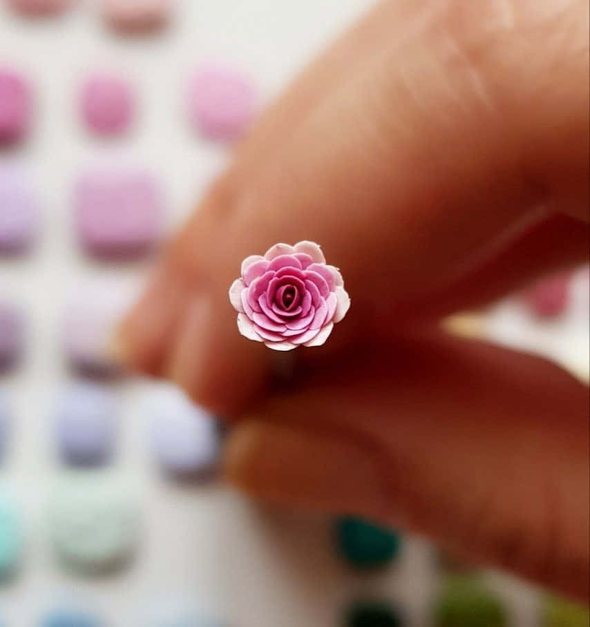 Miniature Roses 桌布 壁紙 — 一隻手輕輕地拿著一朵細小的粉紅色紙玫瑰，背景是模糊的粉彩色方格。