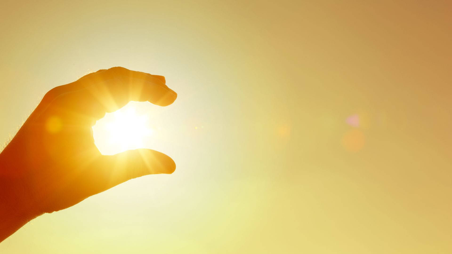 Light 桌布 壁紙 — 一隻手輕輕捧著一顆在溫暖金色天空中的耀眼太陽，營造出柔和鏡頭光暈效果。