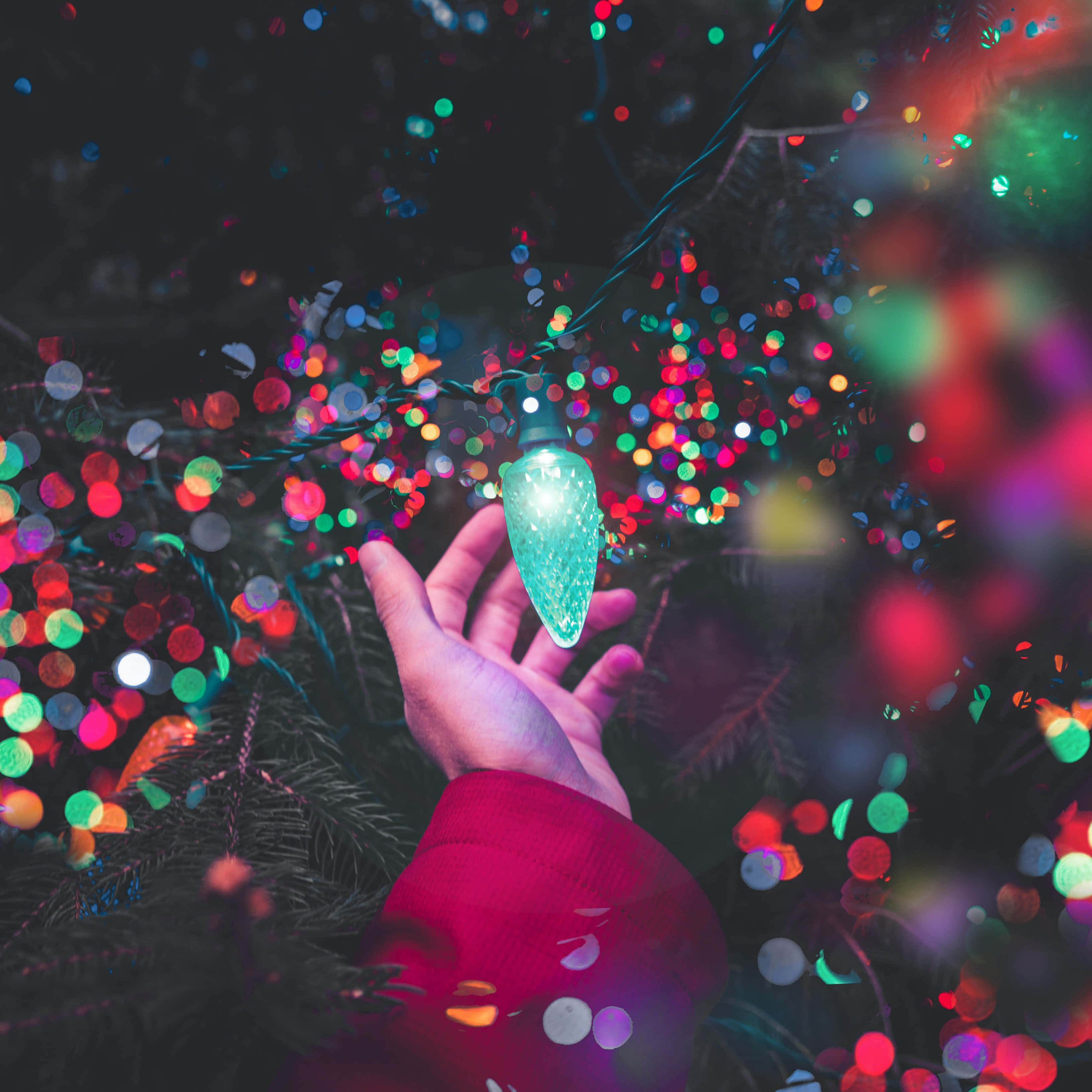 Christmas Light 桌布 壁紙 — 一隻手輕輕握住一個發光的綠色聖誕裝飾球，背景是樹上色彩繽紛的散景燈光。