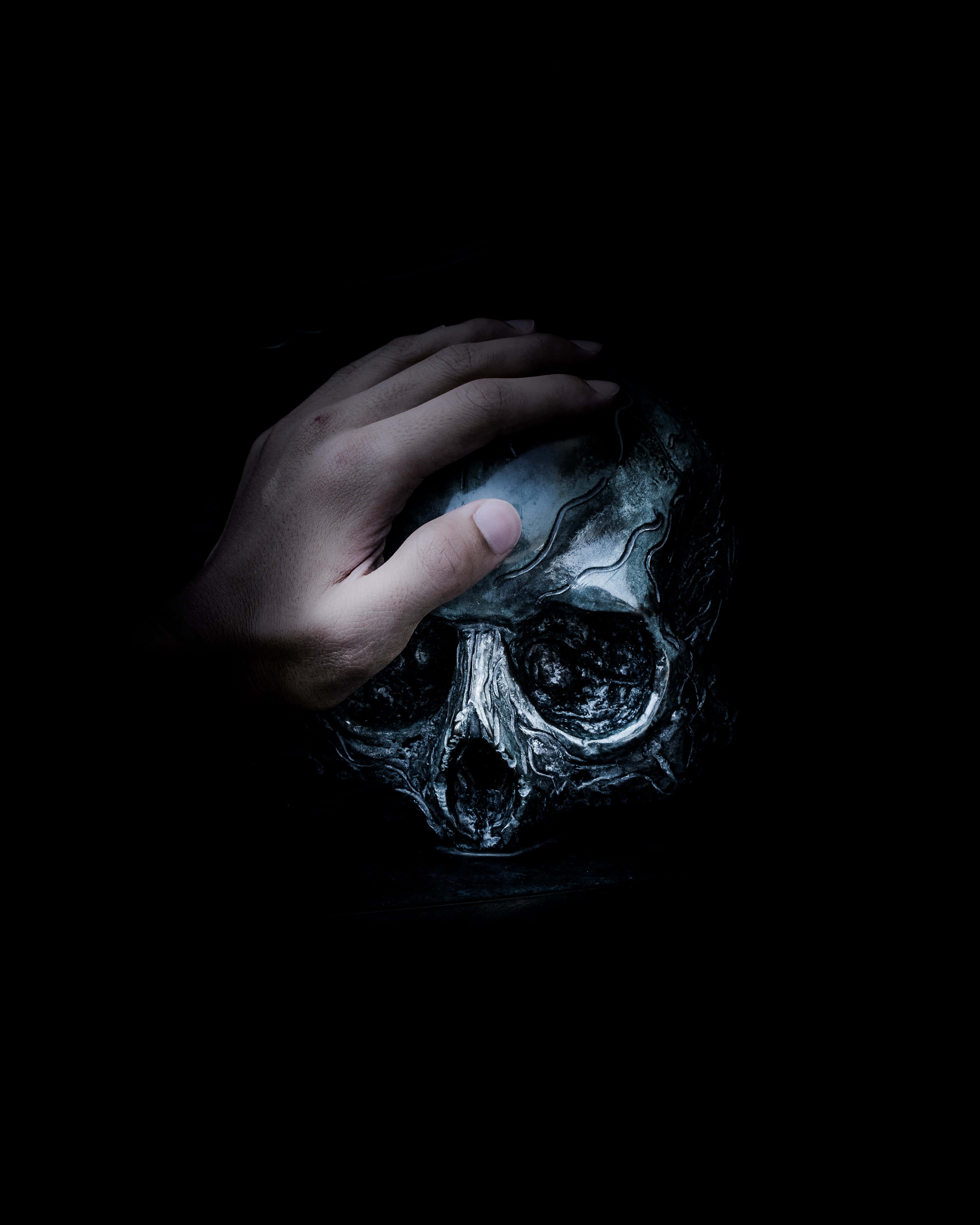 Halloween Skeleton 桌布 壁紙 — 一隻手輕輕放在深暗陰影中帶紋理的頭骨上，由強烈而戲劇性的光線照亮。