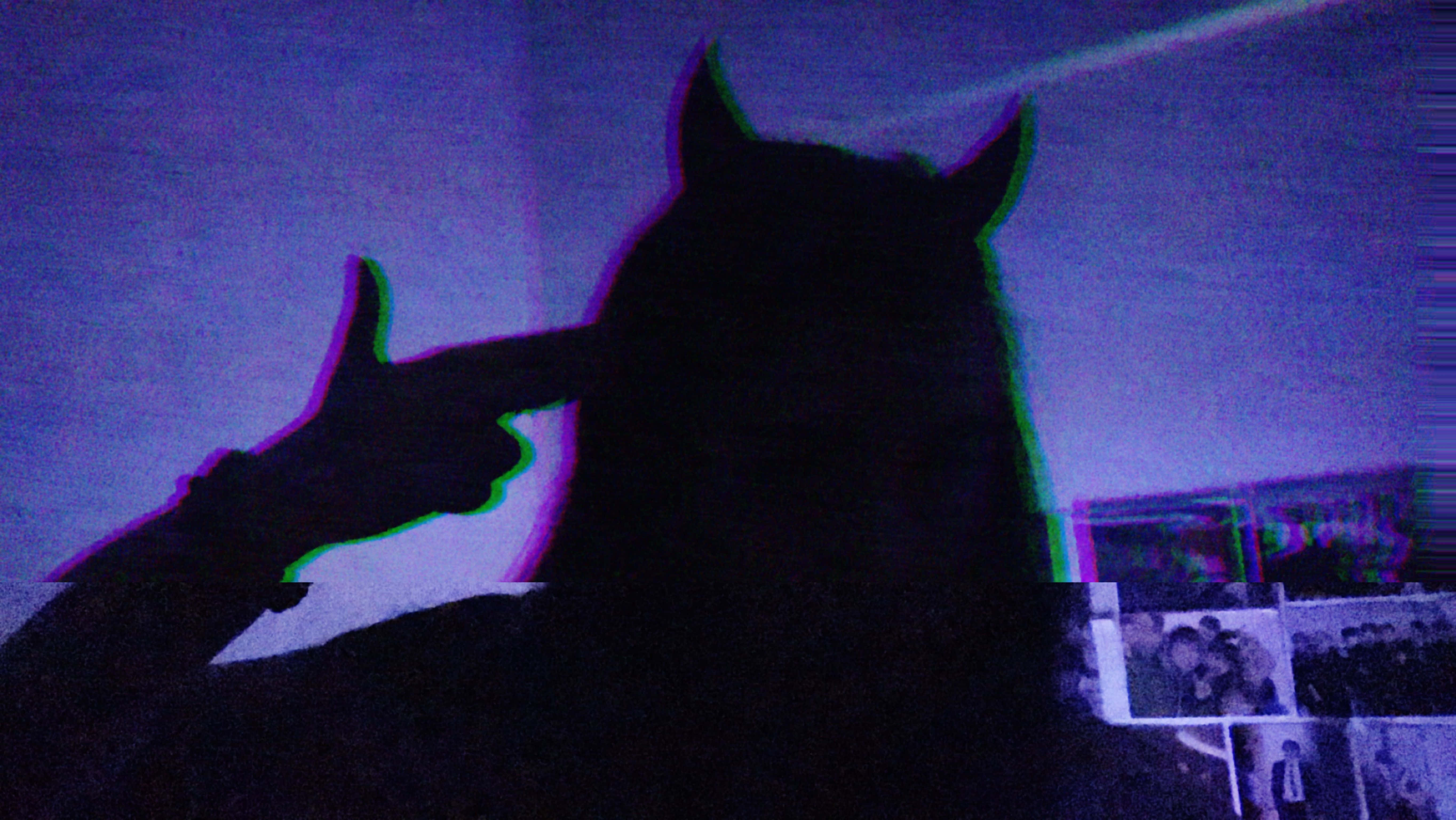 桌布 壁紙 — 一隻扭曲的馬剪影，有一隻手豎起大拇指，背景是帶有照片拼貼的紫色故障效果。
